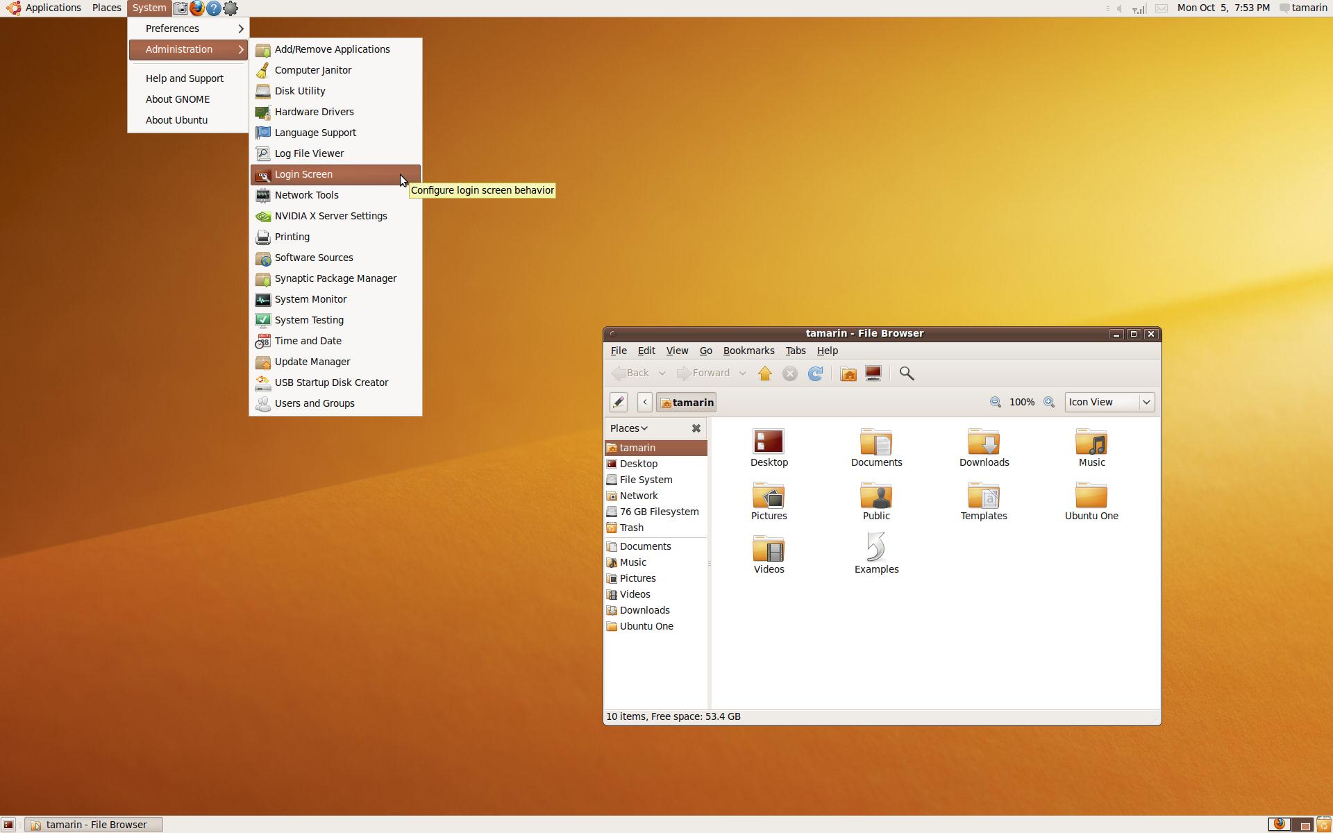 Skjermbilde av Ubuntu 9.10 beta