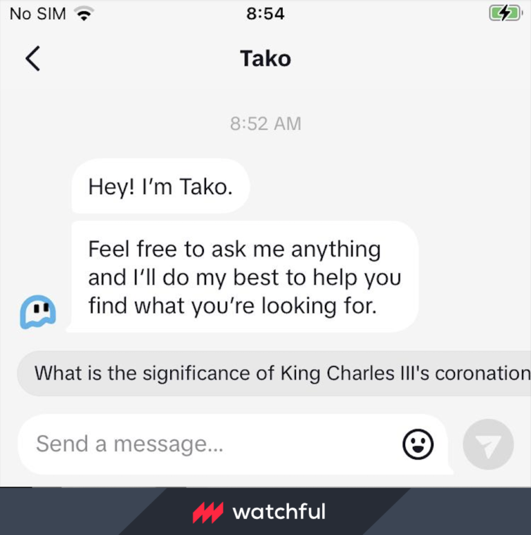 Skjermbilde av TikToks nye AI-chatbot, Tako, delt av Watchful.