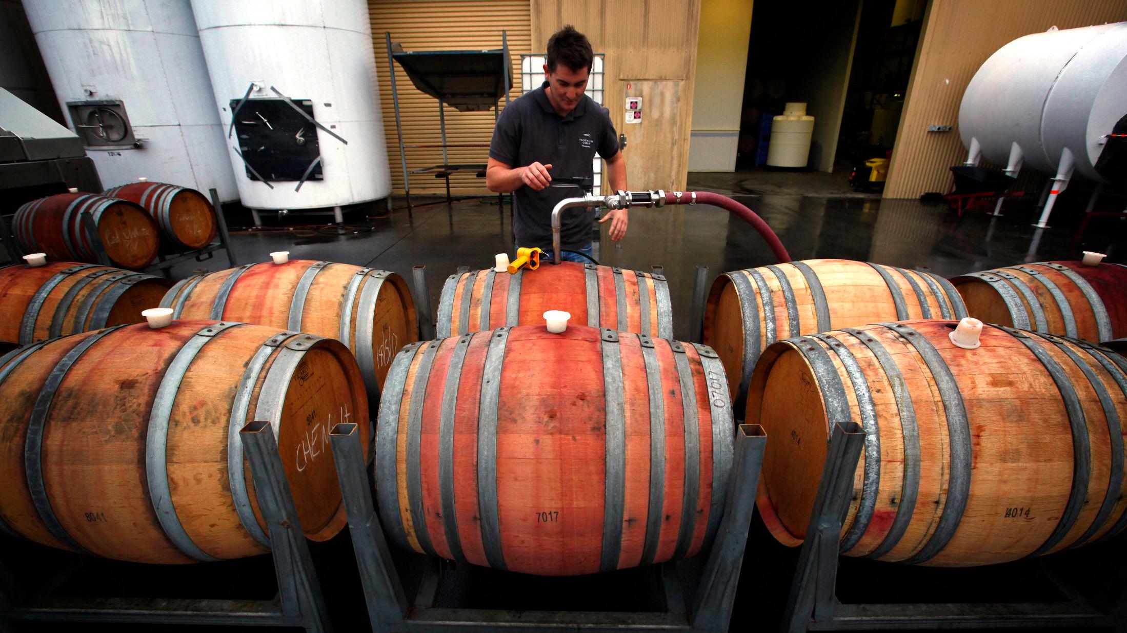 DEN NYE VINEN? Nysgjerrig på å lære mer om viner fra «down under»? Vinmonopolet har laget en helt podkast-episode hvor du kan ta et dypdykk i australsk vin. Her fra Frogmore Creek i Hobart på den australske øya Tasmania. Foto: Reuters
