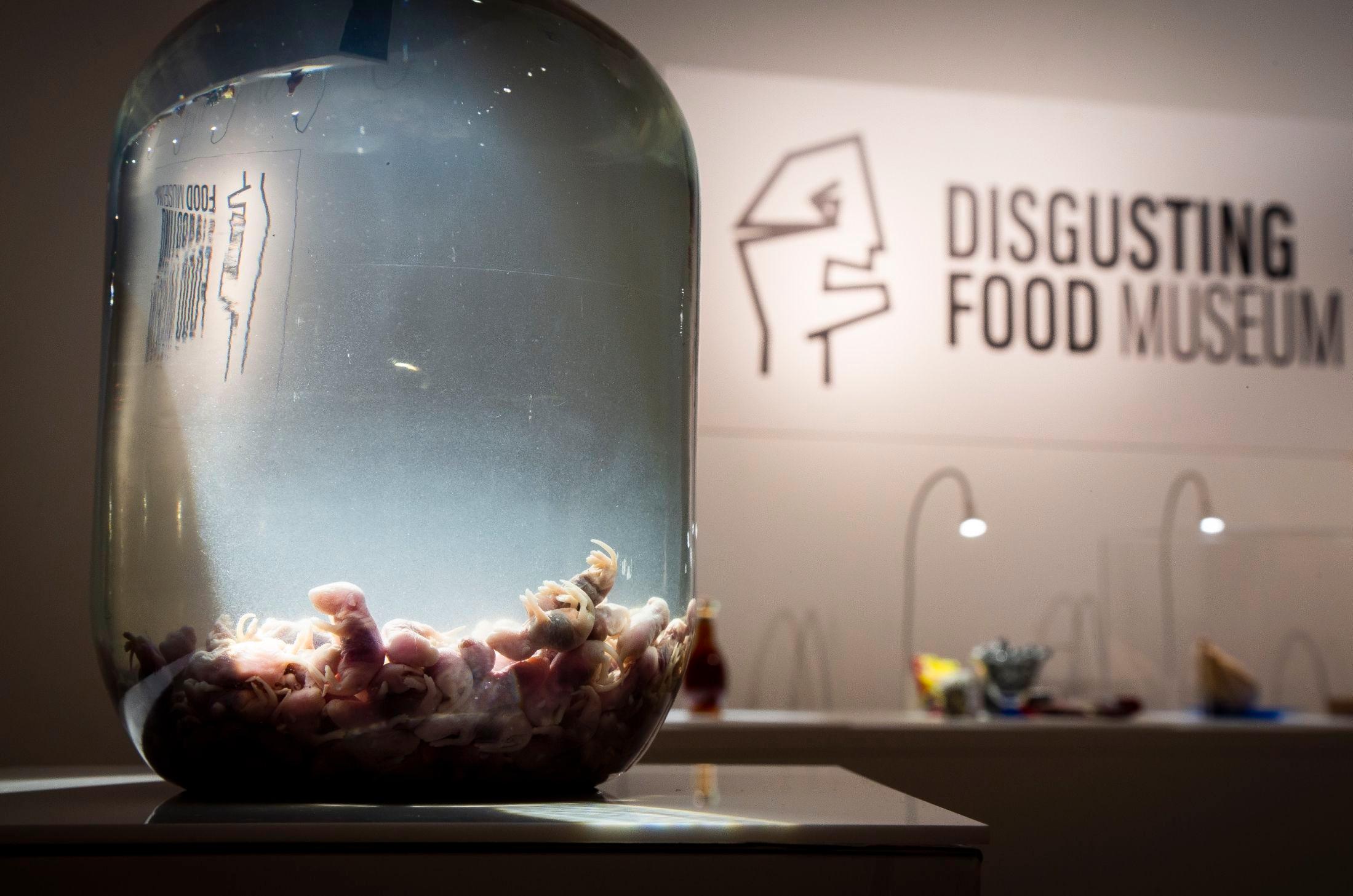 MUSERENDE: På Disgusting Food Museum i Malmö kan du blant annet se «musevin» – vin med døde musebabyer. Foto: Disgusting Food Museum