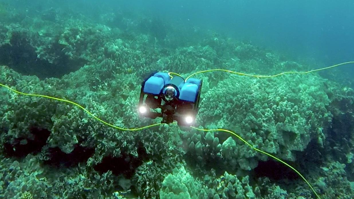 Denne gir deg proff undervannsutforskning til en «overkommelig» pris