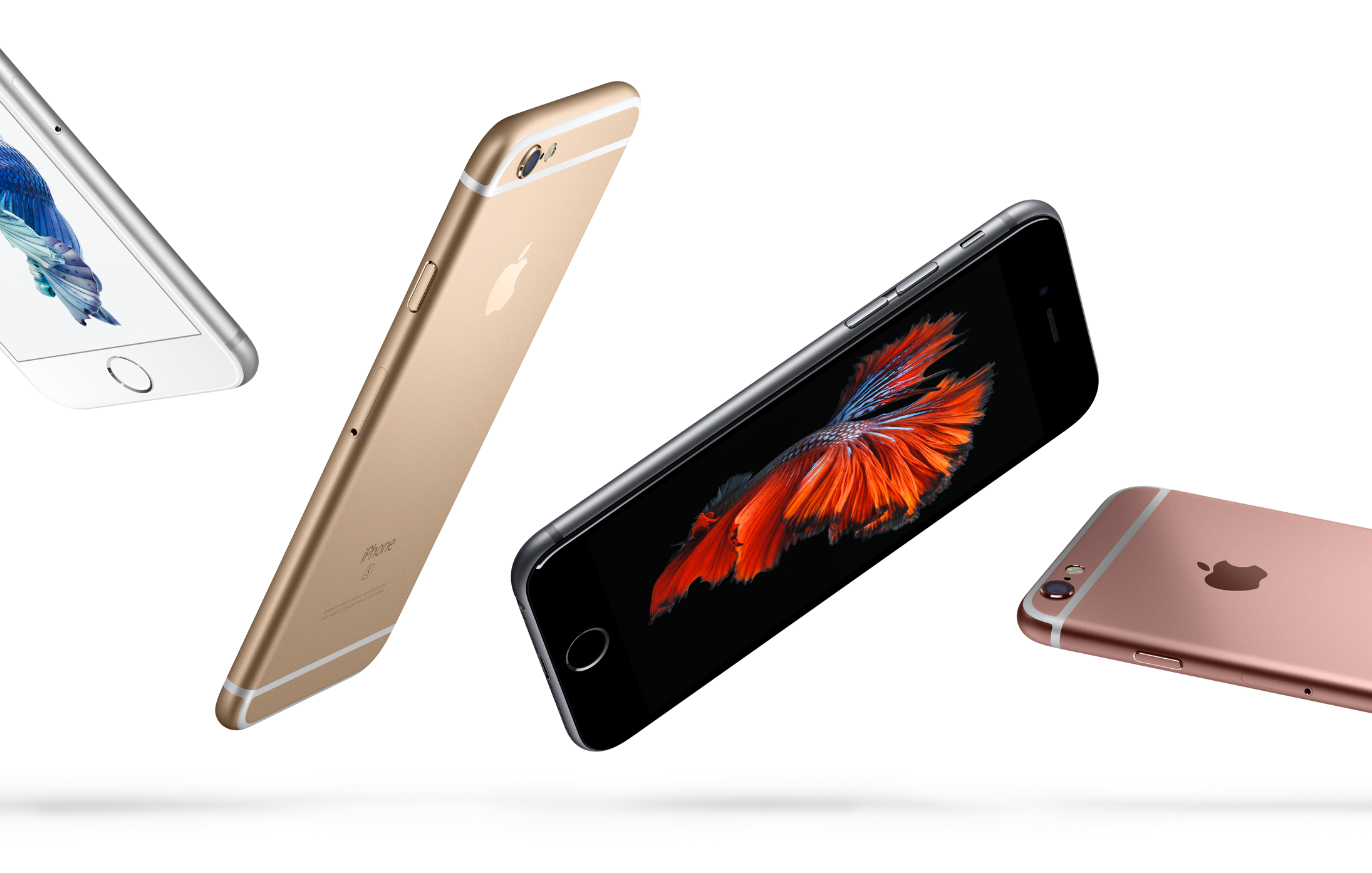 Sølv, Gull, Stellargrå og Rosegull: alle fargene dagens generasjon iPhone kommer levert med.