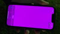 Noen iPhone 13-eiere klager over rosa skjerm