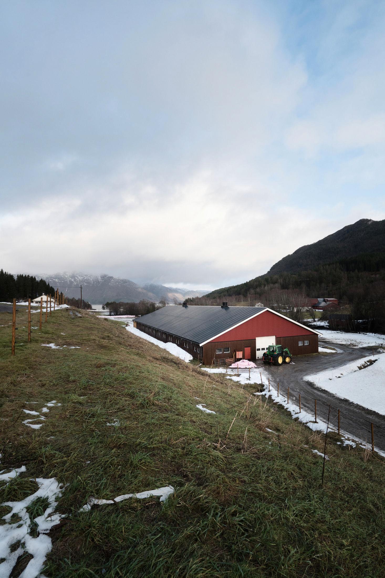 ELITEOST: Ysteriet på Tingvoll i Nordmøre