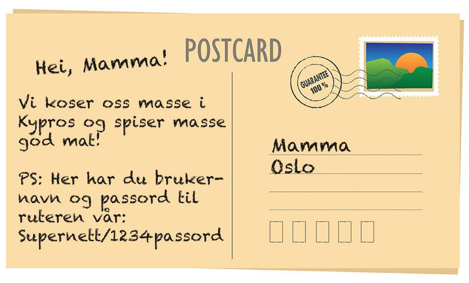 Hvis du ikke skriver passordet ditt på et postkort så burde du heller ikke gjøre det over et usikret nett.