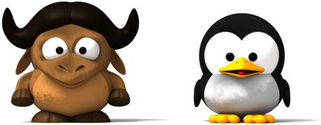 GNU/Linux er den korrekte betegnelsen...