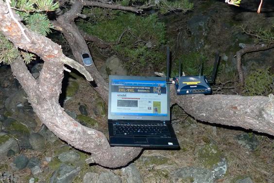 Internett, selv midt i skogen. (Foto: Maurith J. Fagerland)
