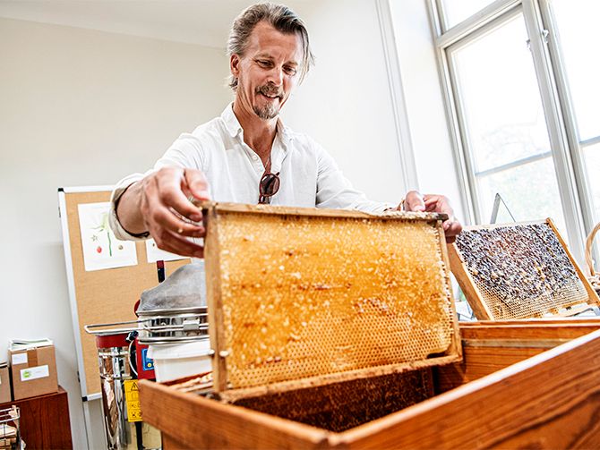 Odling och bin hör ihop. – Det blir mycket honung på bara två kupor, omkring två kilo per ram, berättar Paul Svensson.