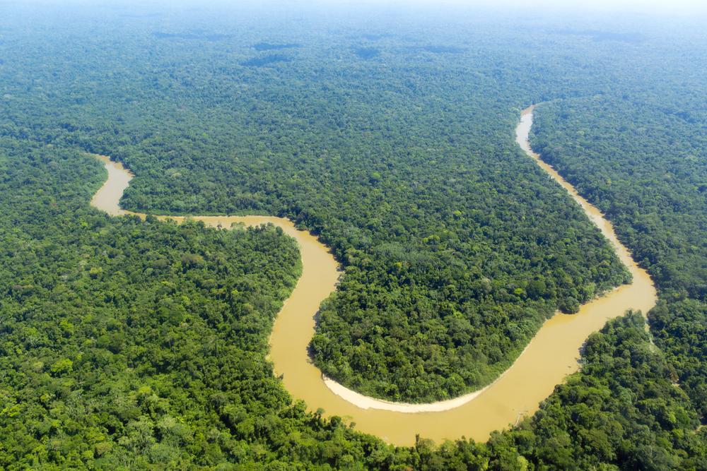 Å skrive ut hele Internett, inkludert den mørke delen, ville gjort et merkbart innhugg i regnskogen. Foto: Dr. Morley Read/Shutterstock.com