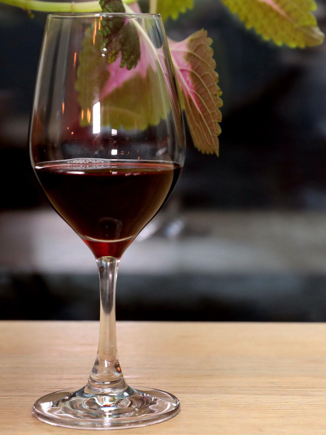 GOD LUKT: – Vinen lukter rabarbra, sier Jens Føien. Foto:  Janne Møller-Hansen