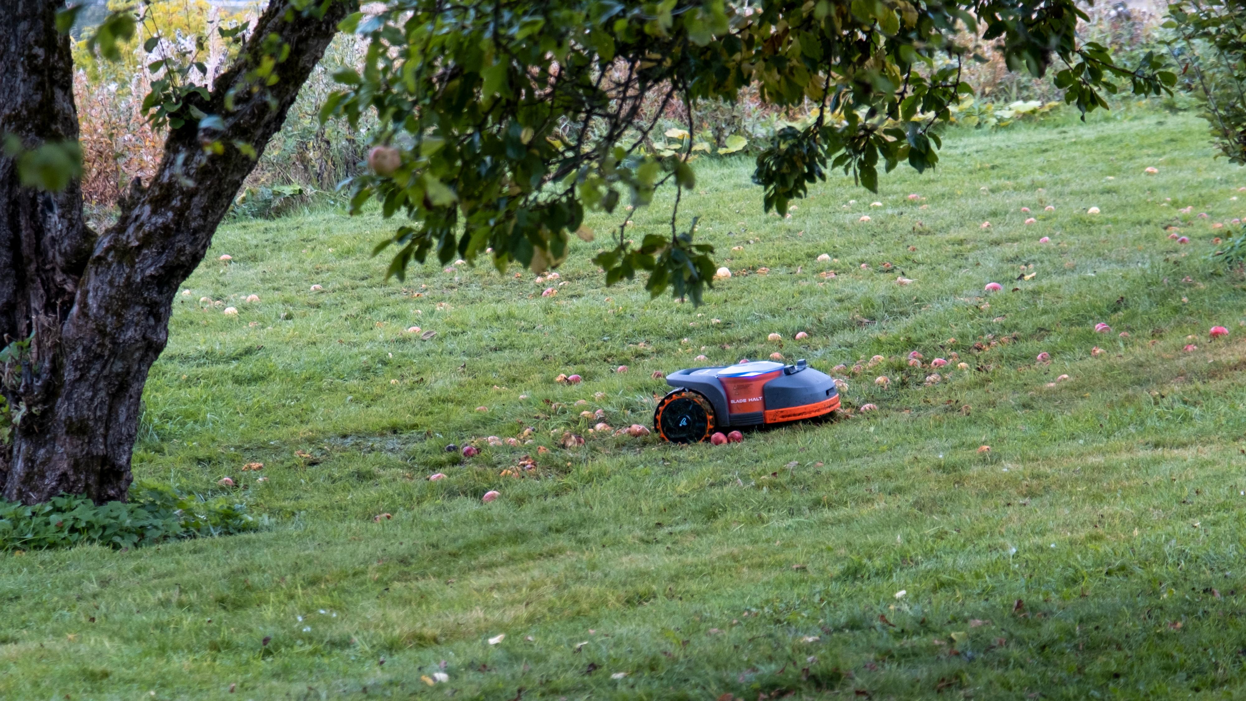 Helling, vått gress og en god del halvråtne epler var det som måtte til for å få roboten til å sette seg fast. Men ikke uten en skikkelig kamp. 