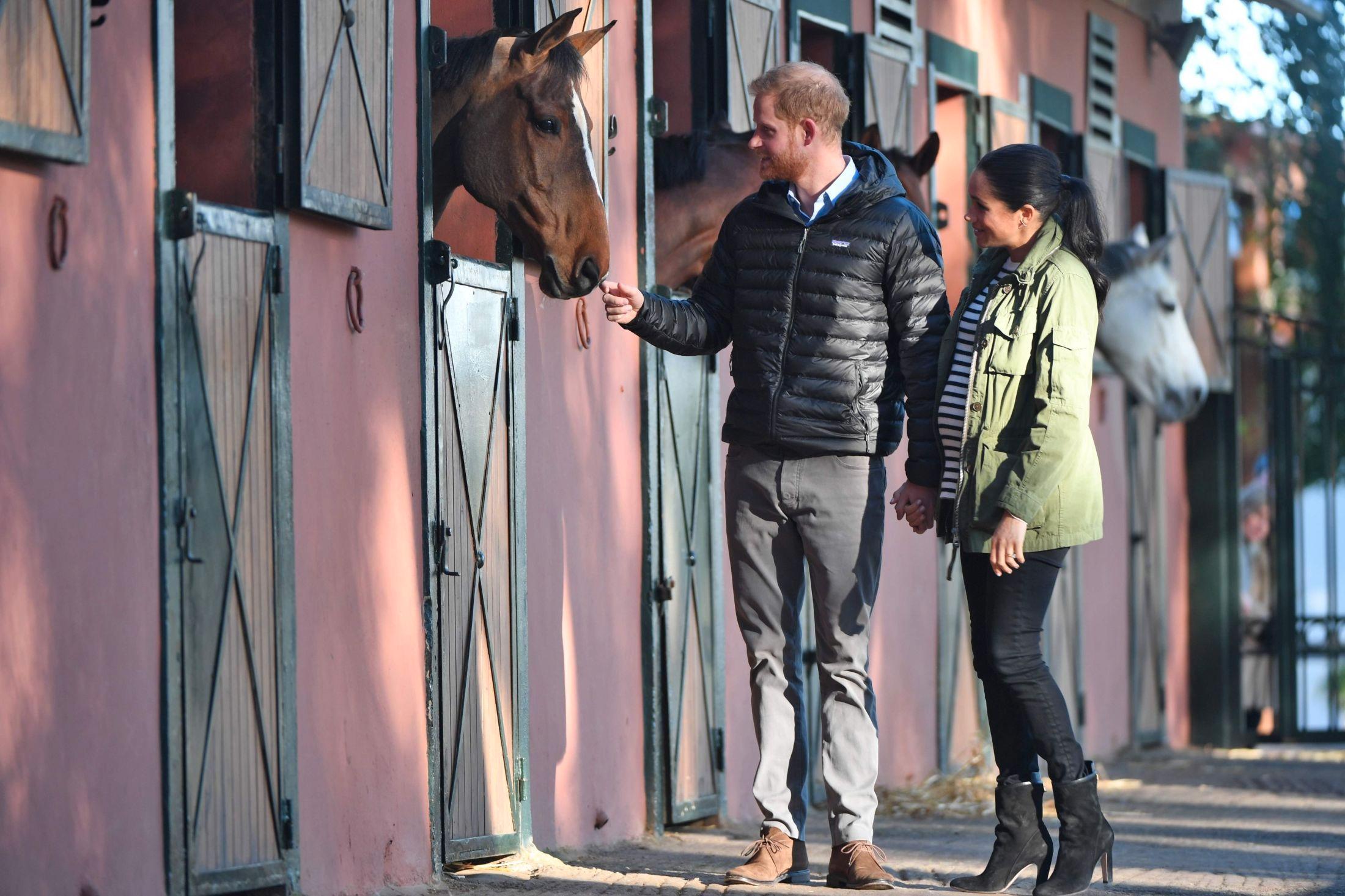 HESTEBESØK: Harry og Meghan la også inn et besøk til hester på den kongelige foreningen for ridesport. Hertuginnens jakke er fra J Crew. Foto: AFP.