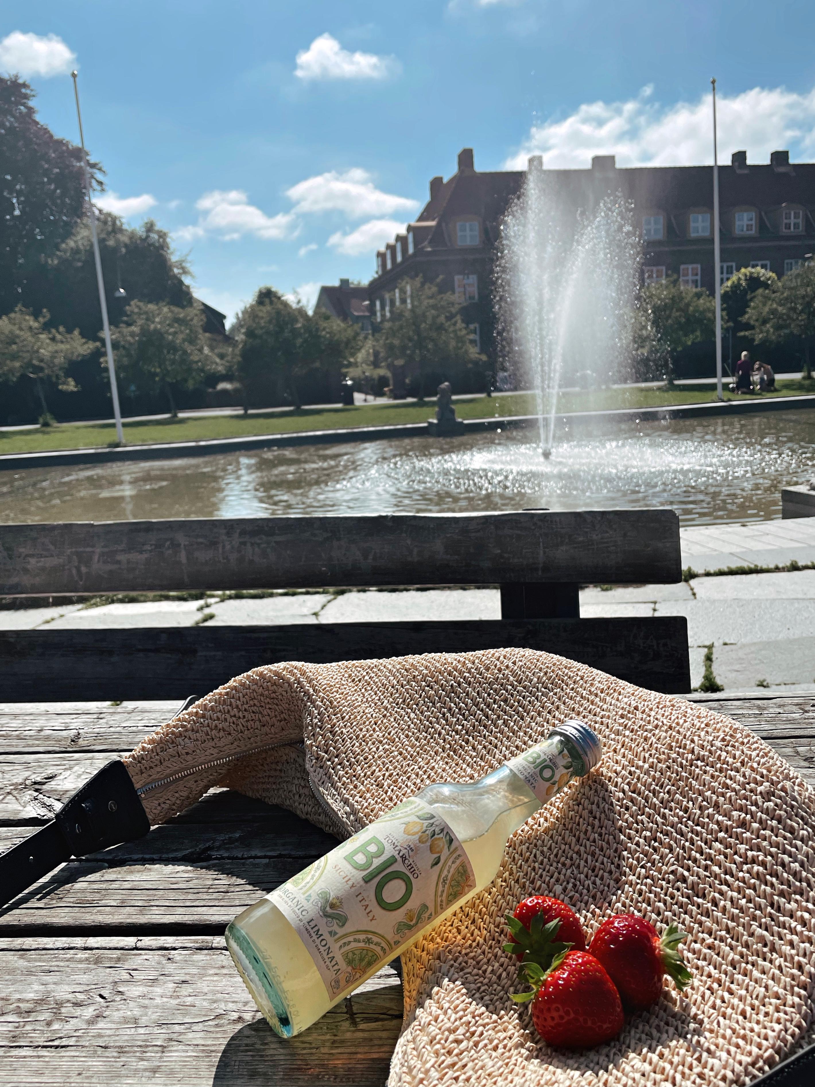 IDYLL: Jordbær og lemonade på Damplassen i Ullevål Hageby. Det er ganske så koselig!