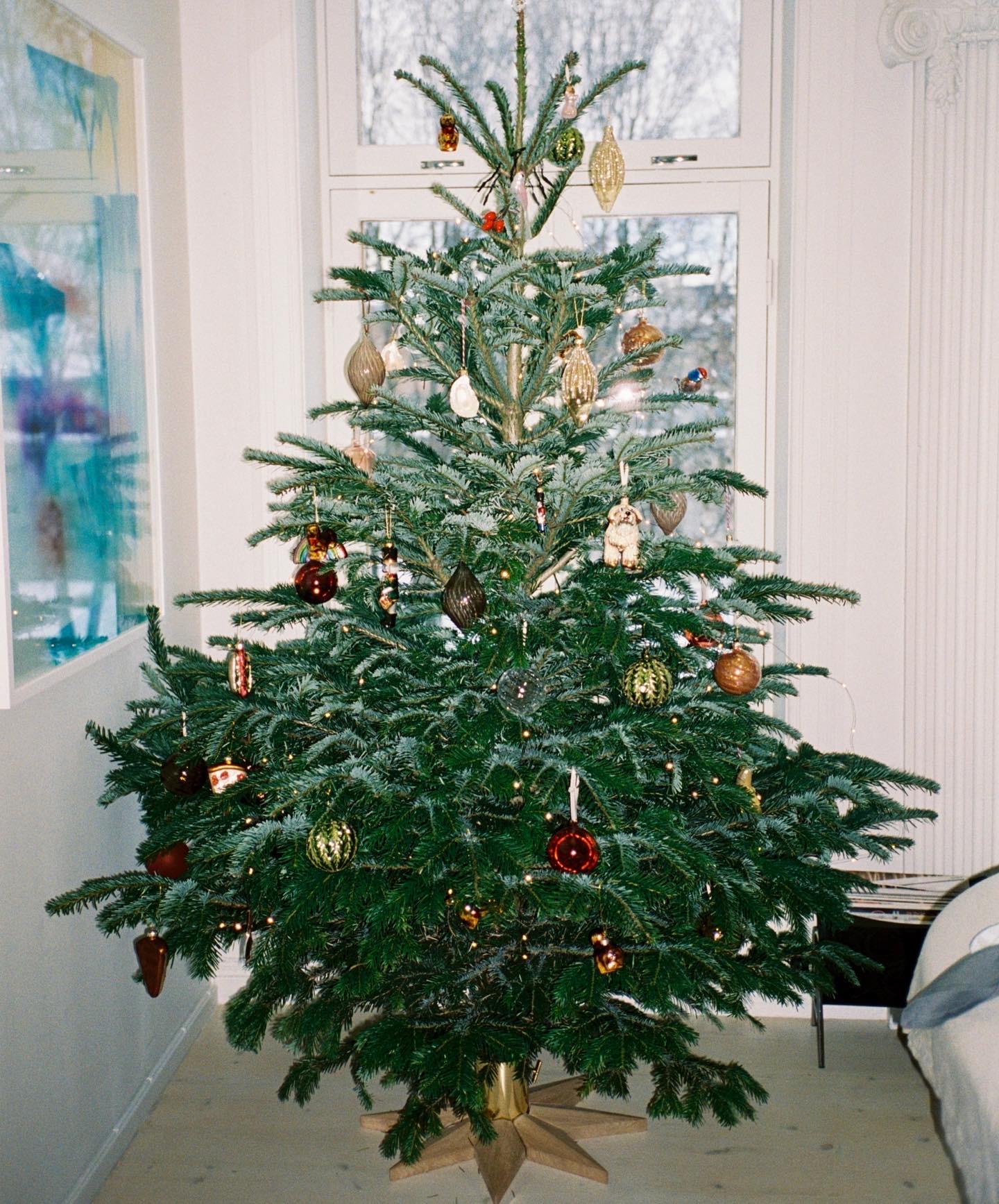 UNDER TREET: ... kan det ligge godsaker, som du kan kose deg med i julen.