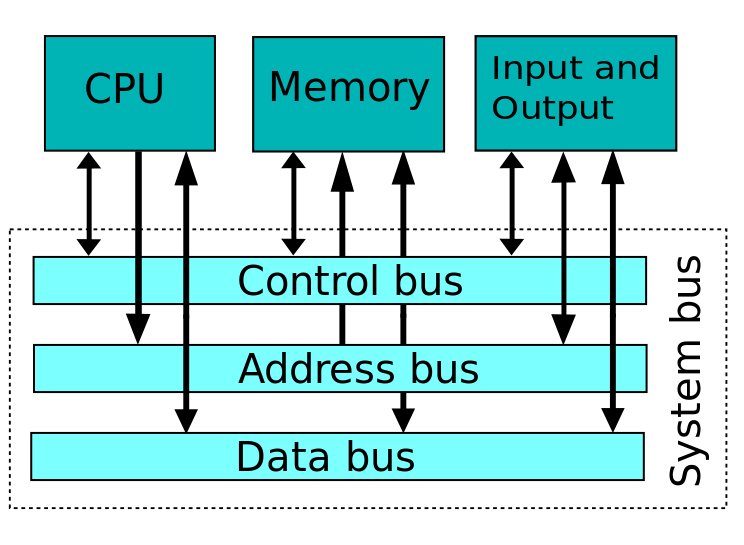 Prosessoren og minnet kommuniserer over forskjellige busser på hovedkortet, som frakter informasjon, hva som skal gjøres med den, og hvor den skal lagres.Foto: Wikipedia