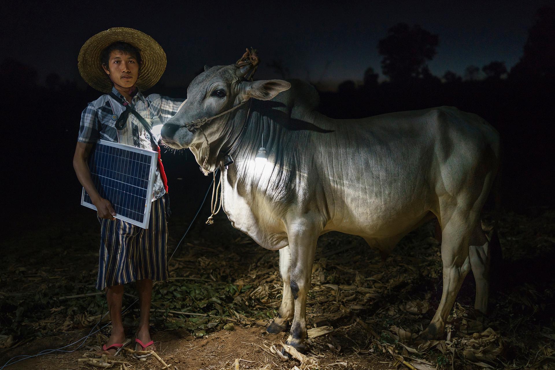 Mg Ko, 20 years old. A Shan farmer with his cow in Lui Pan Sone Village. Kayah State. Myanma. Foto: Ruben Salgado Escudero, Spain, SHORTLIST, Portraiture, Professional Competition, 2015 Sony World Photography Awards