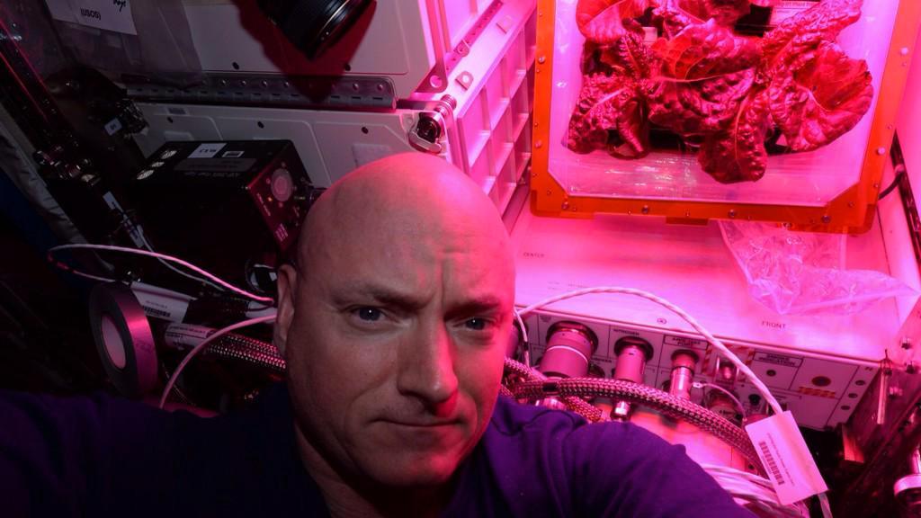 I dag spiser astronautene salat dyrket i verdensrommet