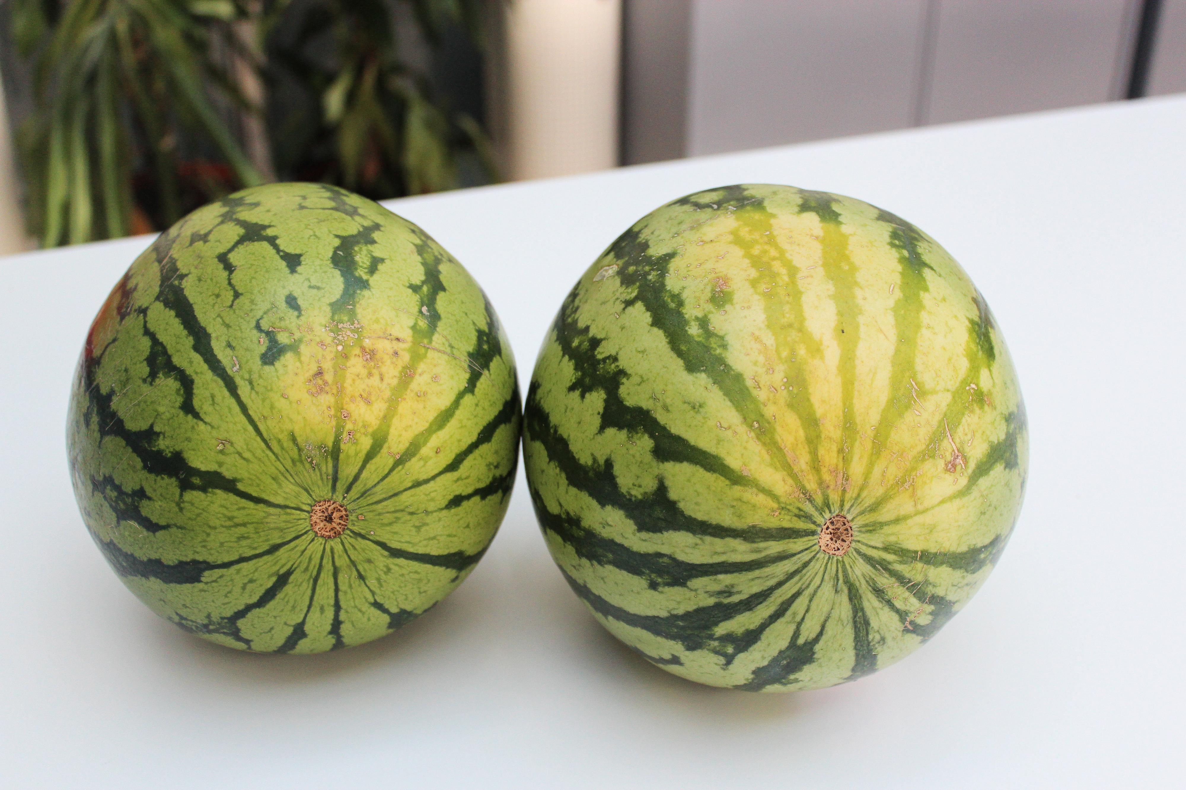 SOLMODEN: En vannmelon som har gule flekker og mørkegrønne striper har ofte en god smak. 