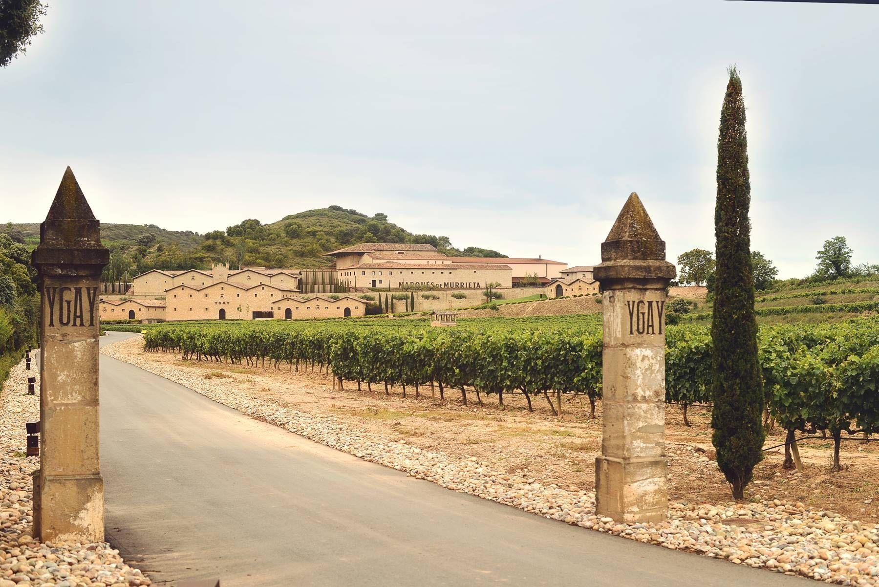 IDYLL: Her dyrkes en av de mest ikoniske spanske vinene - Castillo Ygay fra Marques de Murrieta. Foto: Marques de Murrieta.