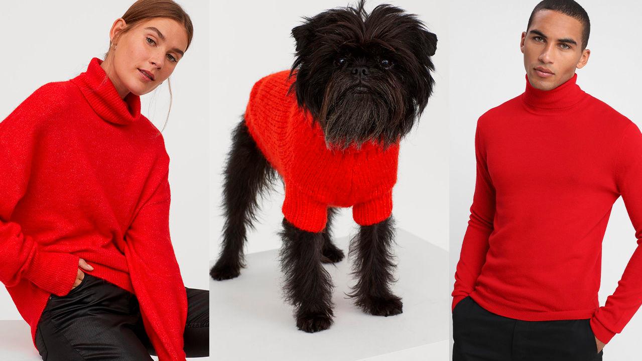 FAMILIEN SAMLET: Hunder som matcher eieren har blitt en hit i sosiale medier de siste dagene. Her er kvinnen og den firbente kledd i genser fra H&M, mens mannen er kledd i genser fra Benneton hos Zalando. Foto: Produsenten.