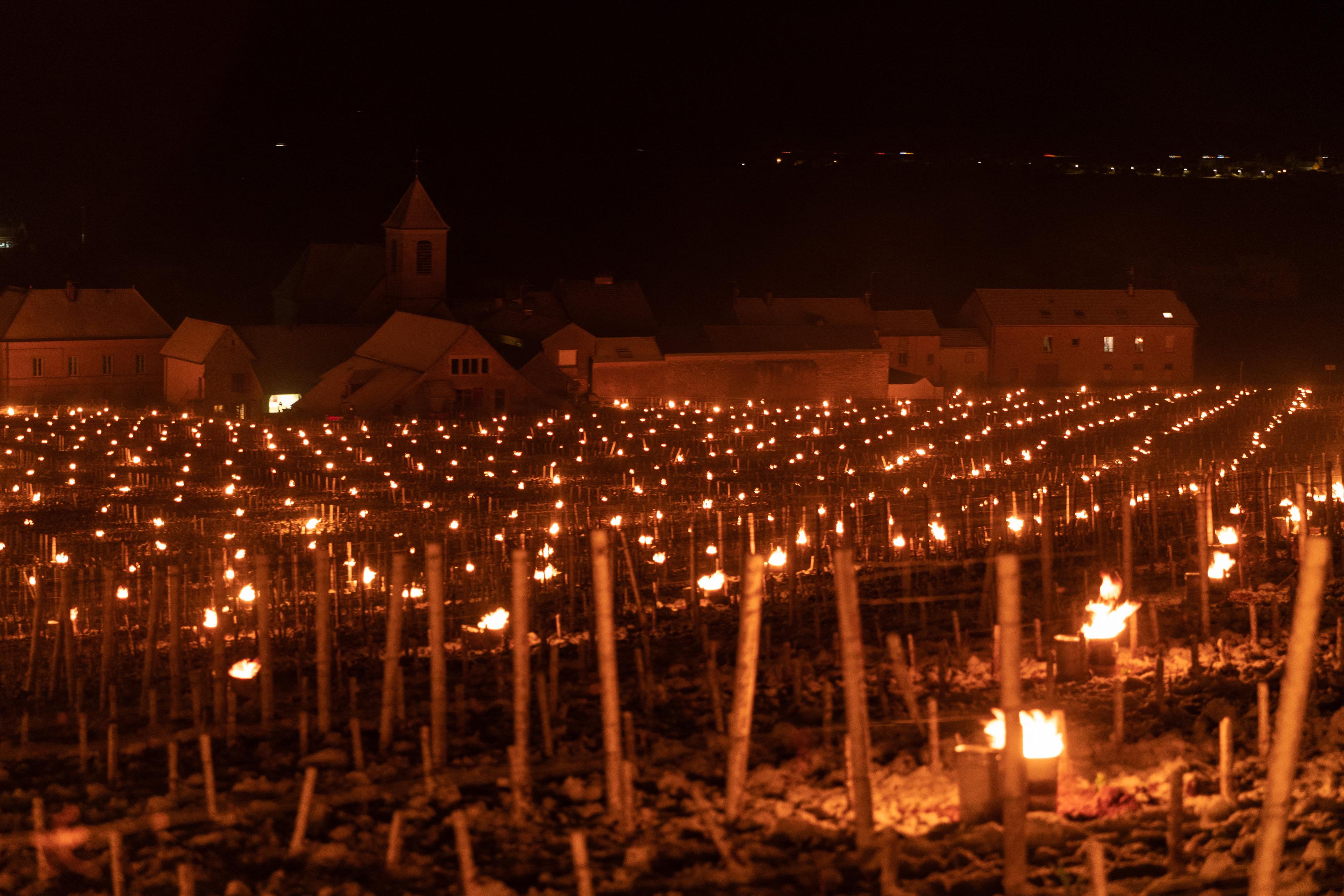 OPPLYST: Fra vingården Clos de Vougeot i Burgund, hvor man bruker levende lys for å holde frosten unna skuddene på vinrankene. 