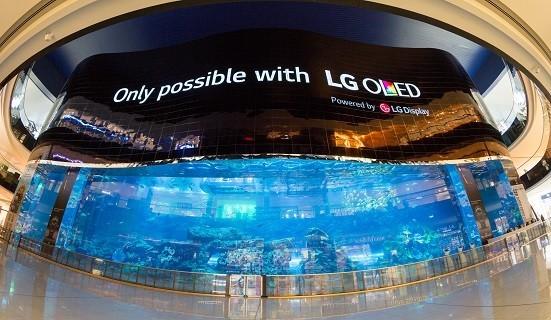 Skjermen pryder et akvarium i et kjøpesenter i Dubai.
