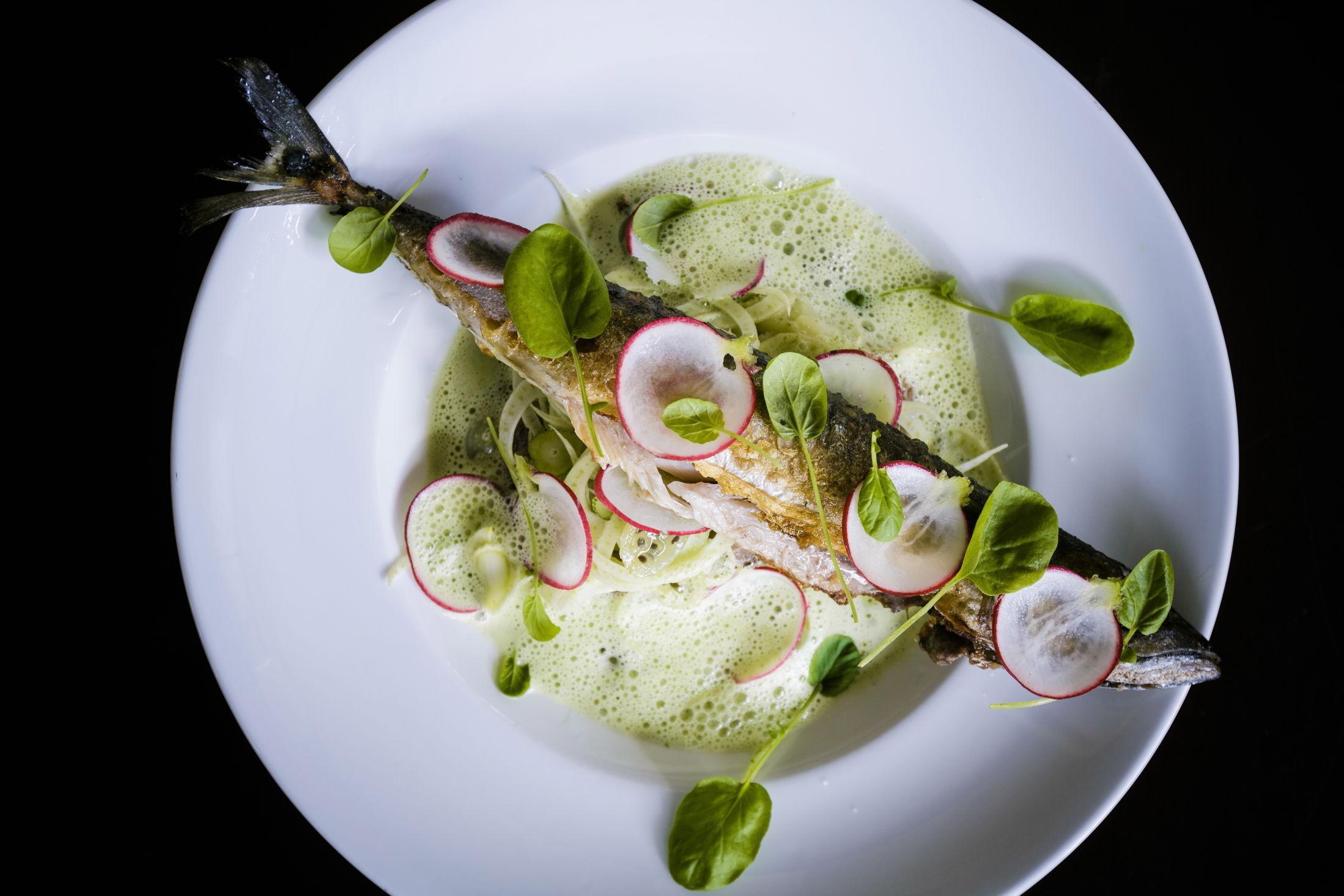 SENSOMMERSMAK: Stekt makrell med uventede og gode smaker til under 200-lappen er et røverkjøp ifølge VGs anmelder. Foto: Krister Sørbø/VG