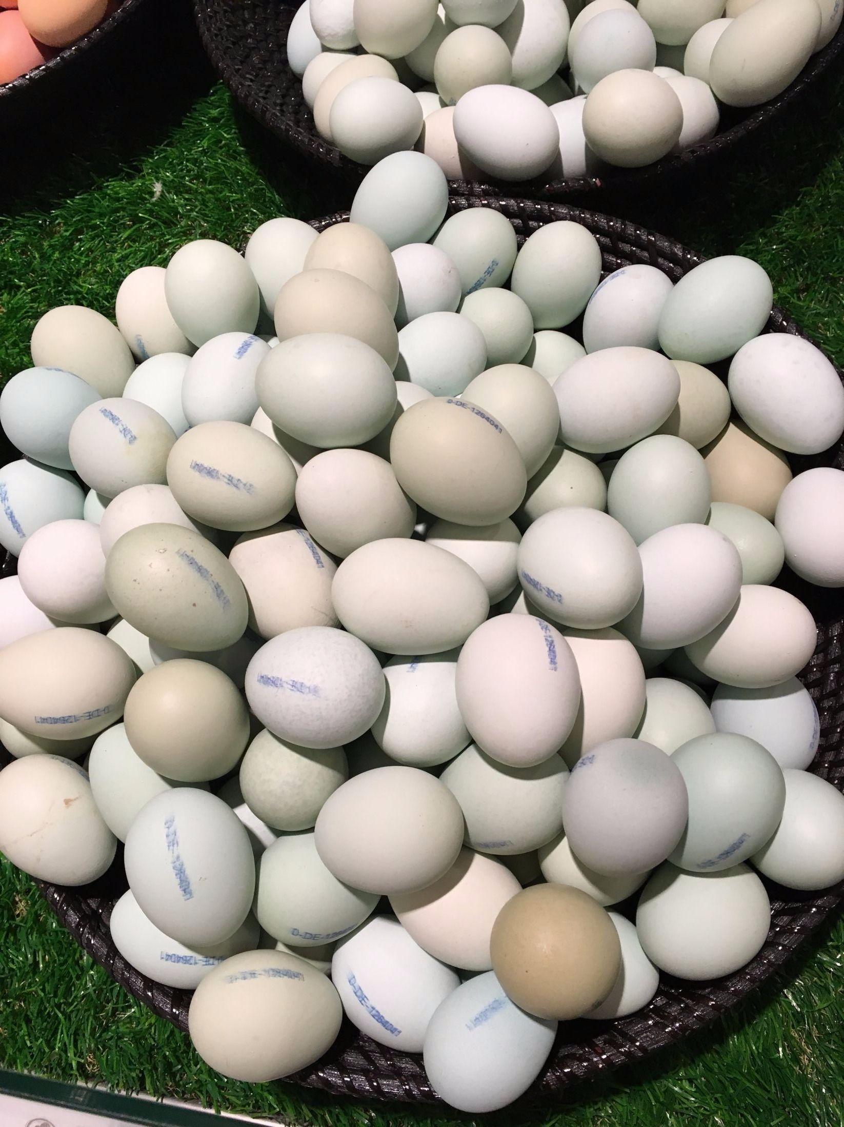 FARGERIKT: Det finnes egg i mange forskjellige farger, som disse grønne eggene på Kadewe i Berlin. Foto: Marthe Reienes/VG