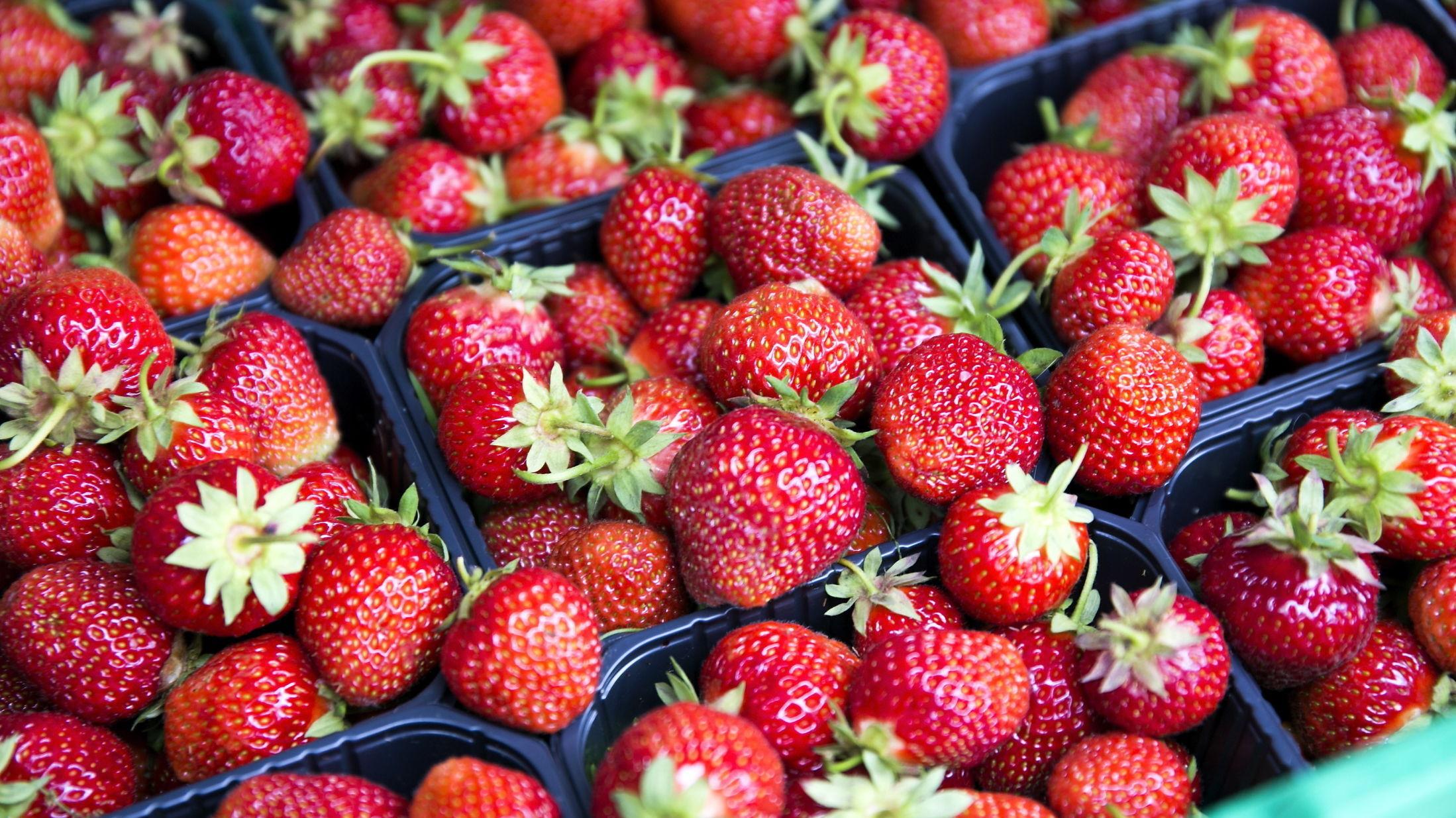 SØTE: For mange er nok de norske jordbærne det aller beste med sommeren. Foto: Jan Petter Lynau/VG
