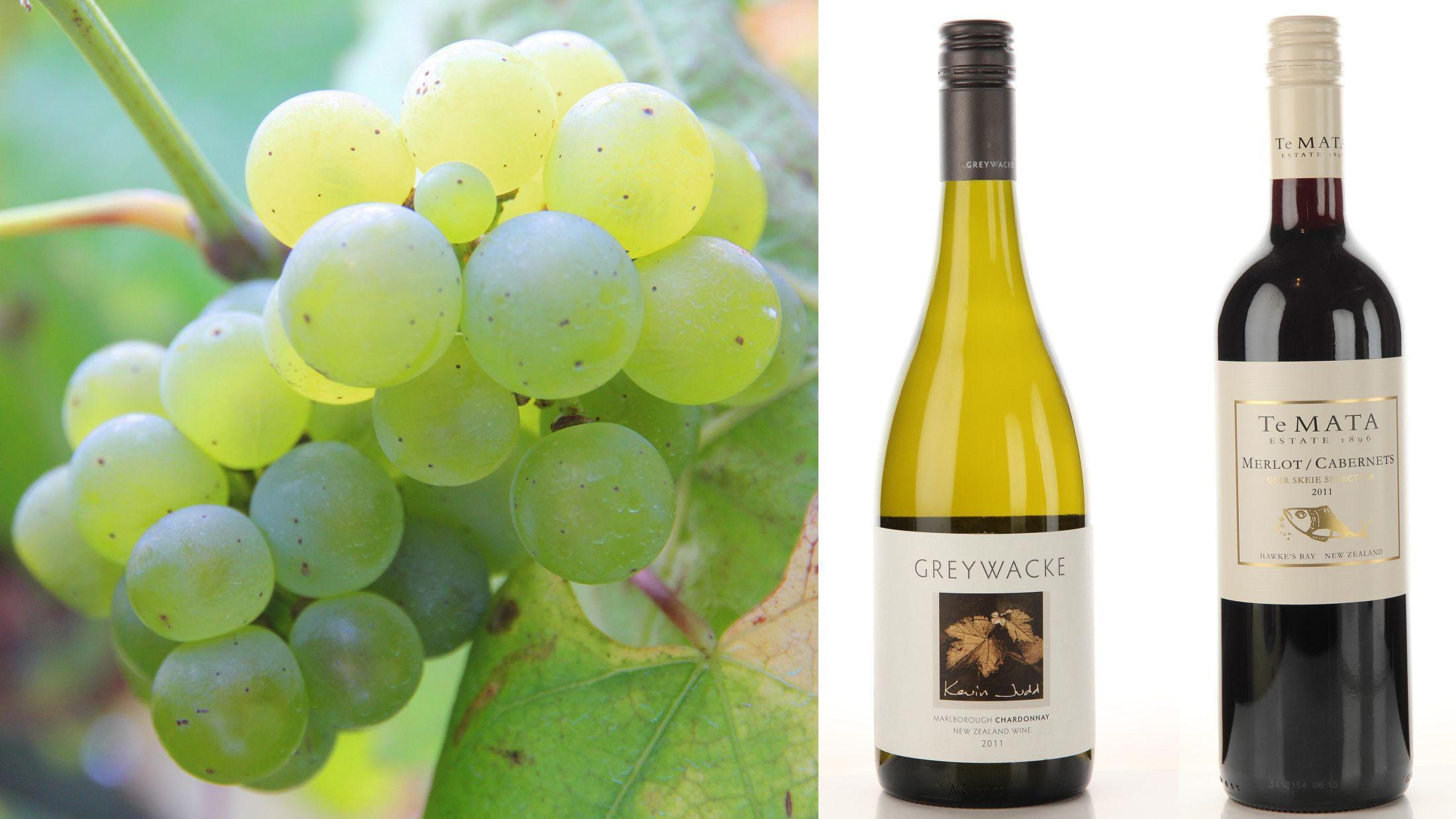 FREGNETE OG SYRLIGE: Det er noe spesielt med Sauvignon Blanc-druene fra New Zealand. Foto: Geir Salvesen/Aftenposten