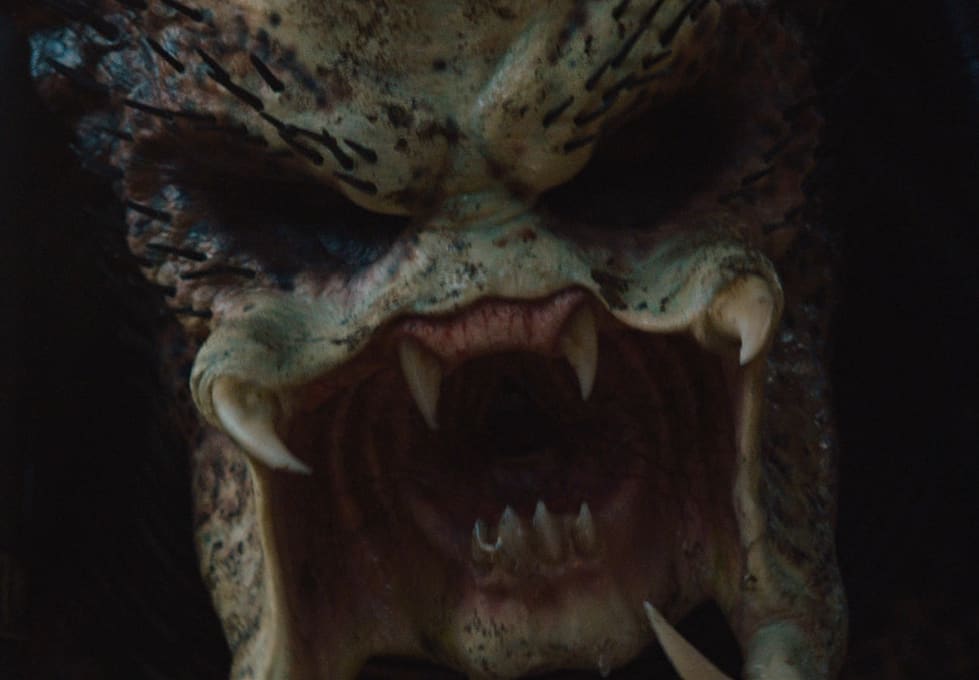 Slakt I Jungelen Test Tek No