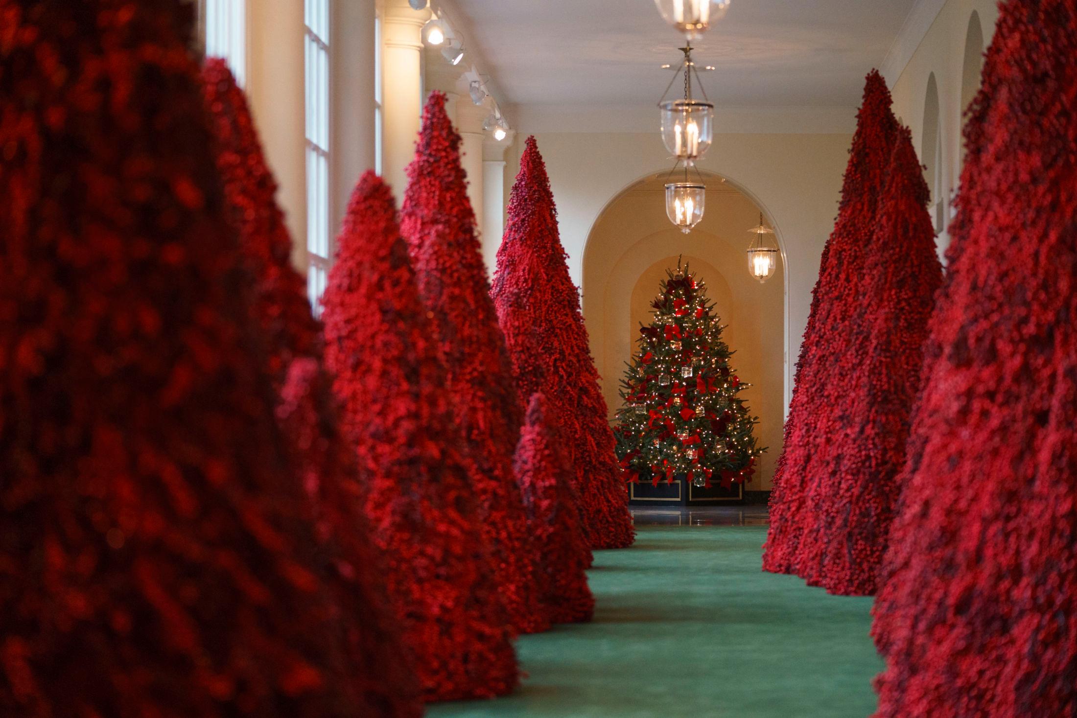 RØDE TRÆR: De røde trærne som preger østfløyen i Det hvite hus har blant annet blitt sammenlignet med blodige tamponger på sosiale medier. Foto: AP