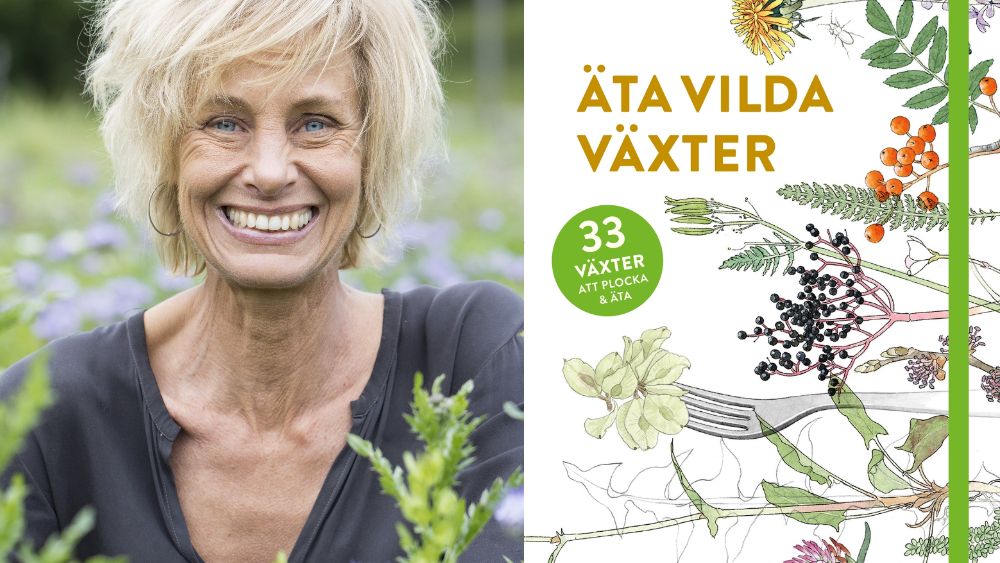 Äta vilda växter - handbok av Lisen Sundgren