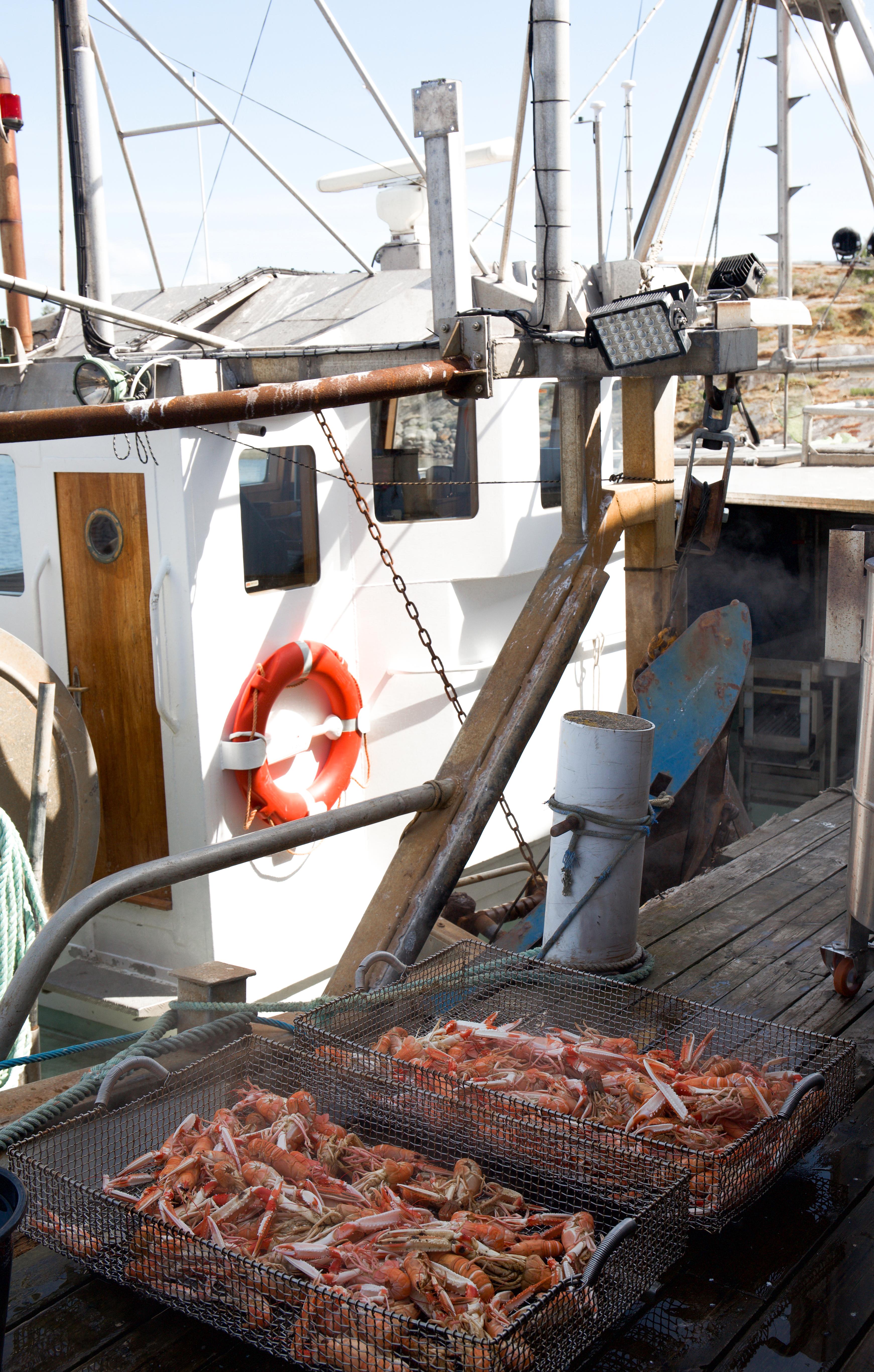 LOKALMAT: Ved havnen i Ekenäs kokes dagens fangst i store gryter. «Kräftor» kan kjøpes på stedet til en snill sum. 