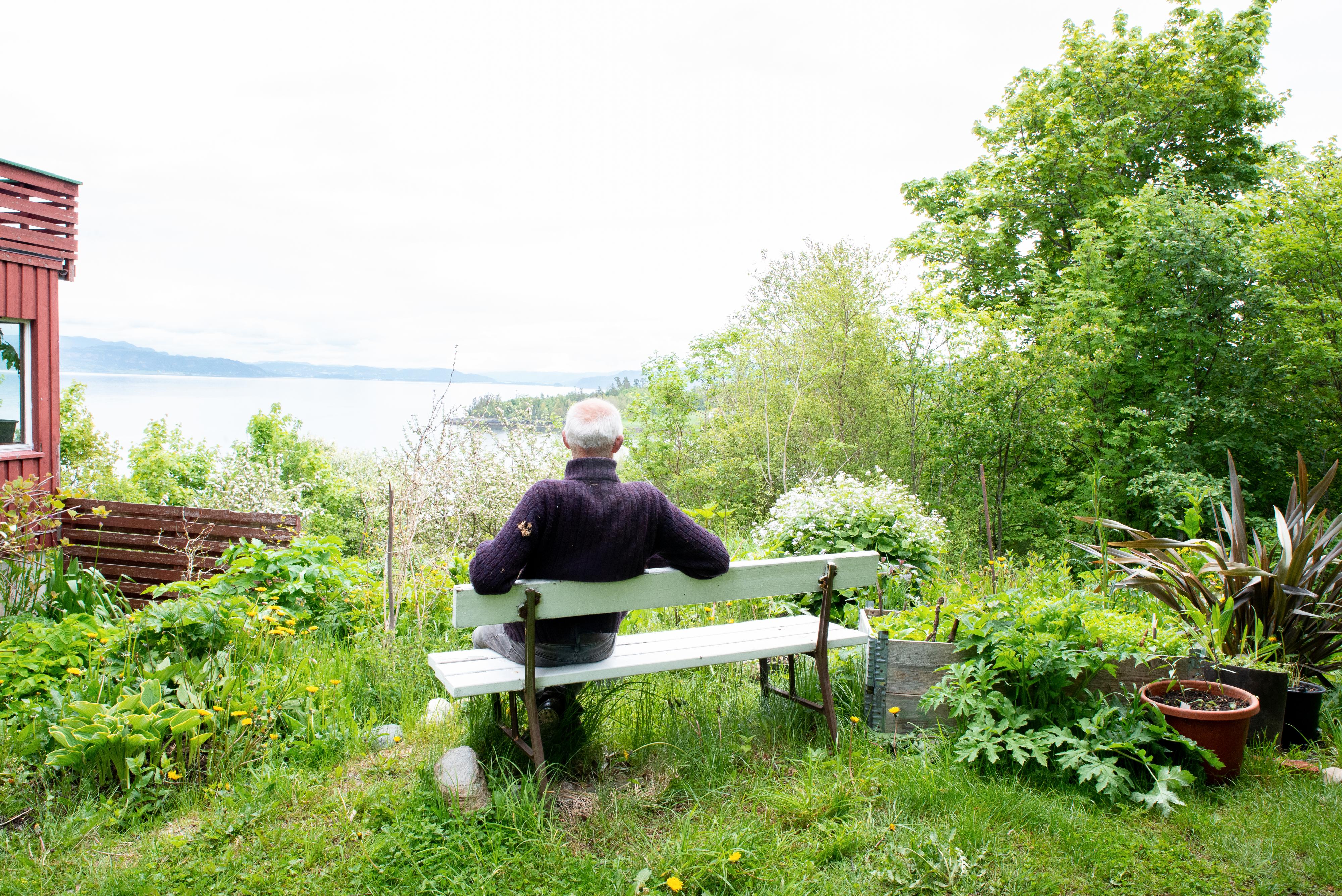 NYTER UTSIKTEN: Stephens hage ligger på en bergknaus vendt mot nordøst med utsikt utover Trondheimsfjorden. Mot nord kan man skimte Stjørdal og vestover ligger Frosta.