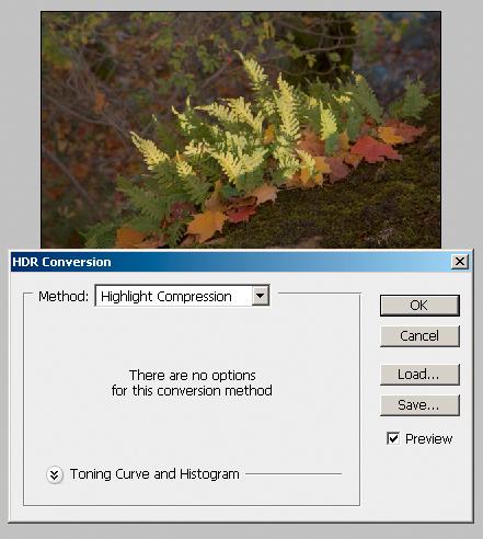 Ved å velge Highlight Compression (eller Exposure and Gamma) til både visning og tonemapping (HDR Conversion), kan man bruke de vanlige verktøyene i Photoshop til å lage en LDR-versjon.