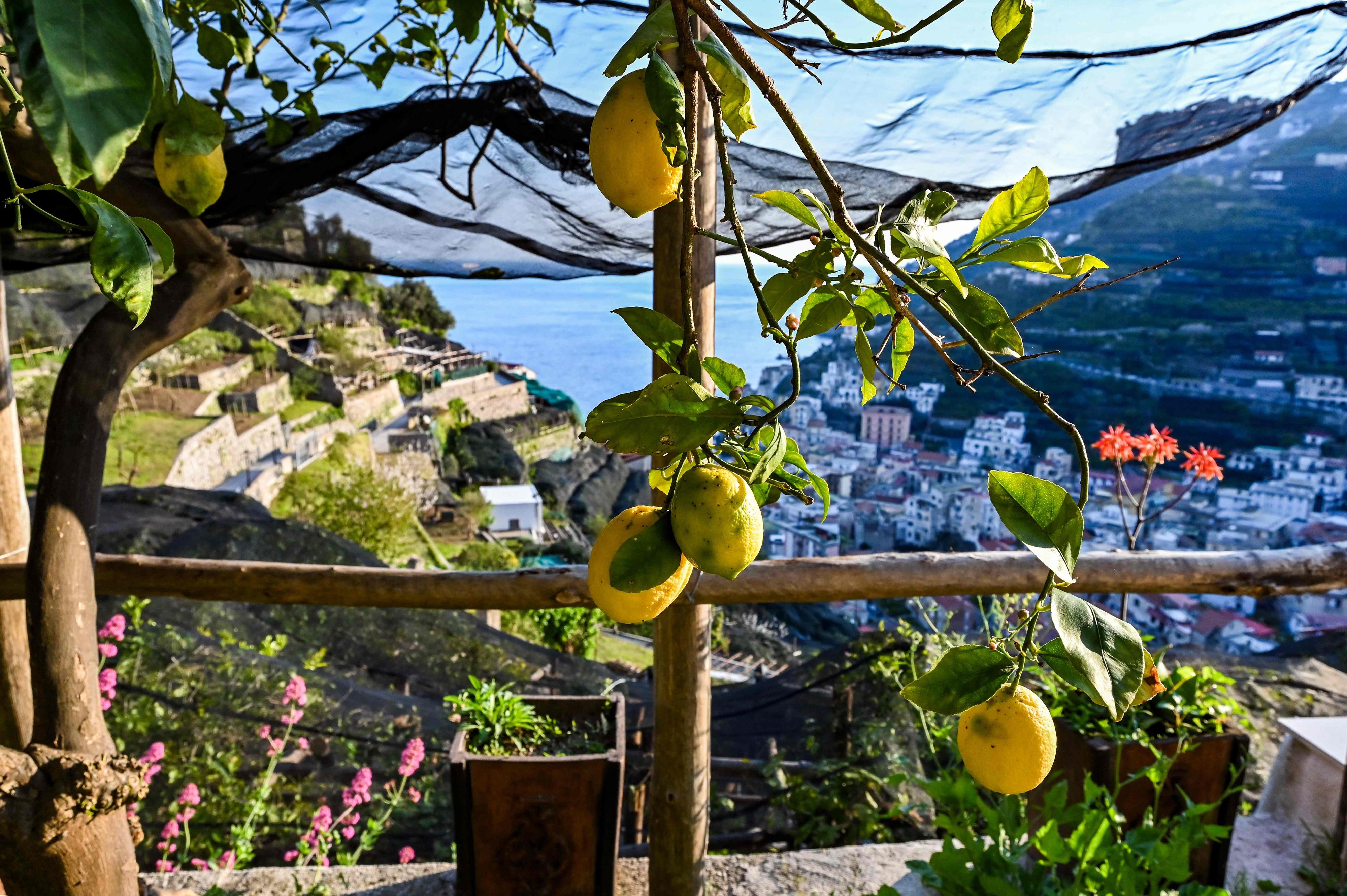 SOL: Sør i Italia ligger Amalfikysten, hvor noen av verdens beste sitroner vokser. Her fra byen Minori.
