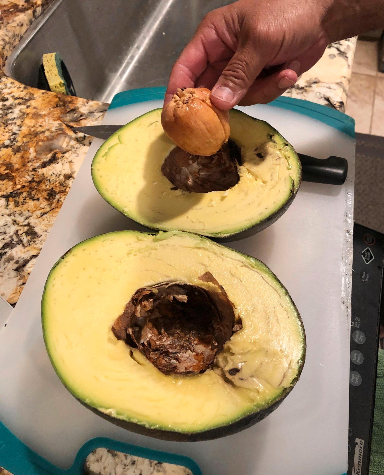 GUACA-FEST: Familien brukte avokadoen til å lage guacamole til både venner og familie. Foto: AP