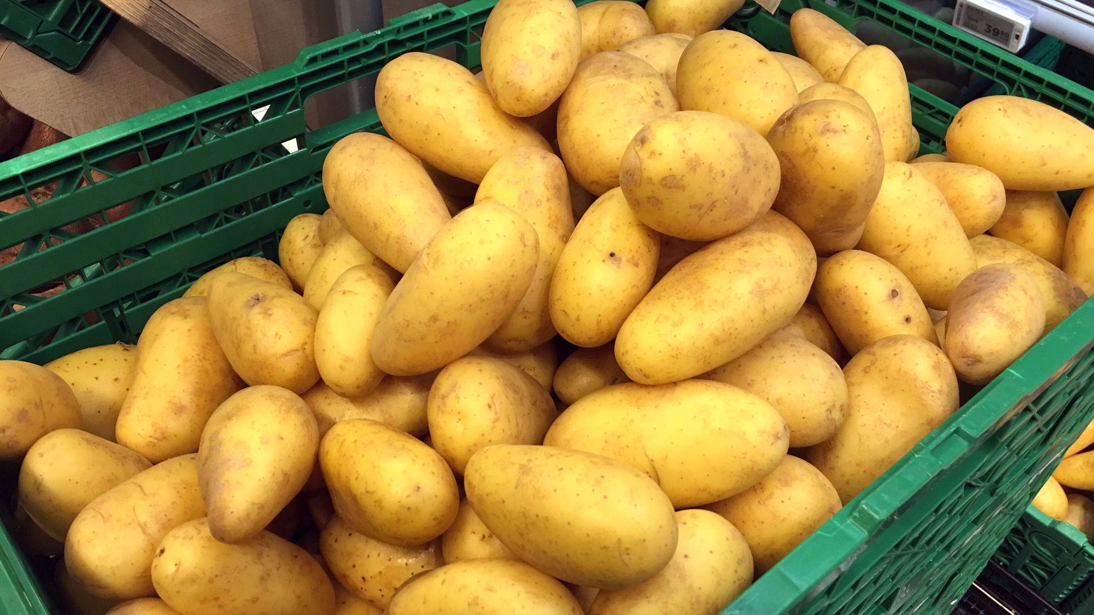 KJENT SYN: Hvert år spiser hver og en av oss nesten 18 kilo poteter. Merk, illustrasjonsbilde. Foto: Nina Andersen