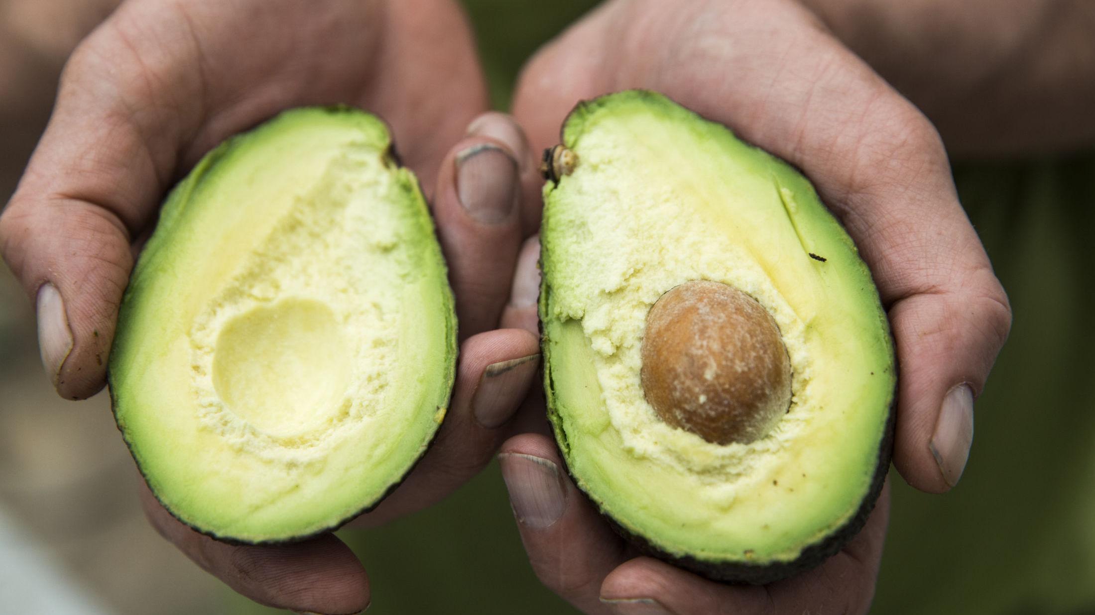 PERFEKT AVOKADO: Å finne perfekt avokado er alltid en utfordring når du står i grønnsaksdisken. I en moden avokado skal steinen inni løse lett. Foto: Berit Roald / NTB scanpix
