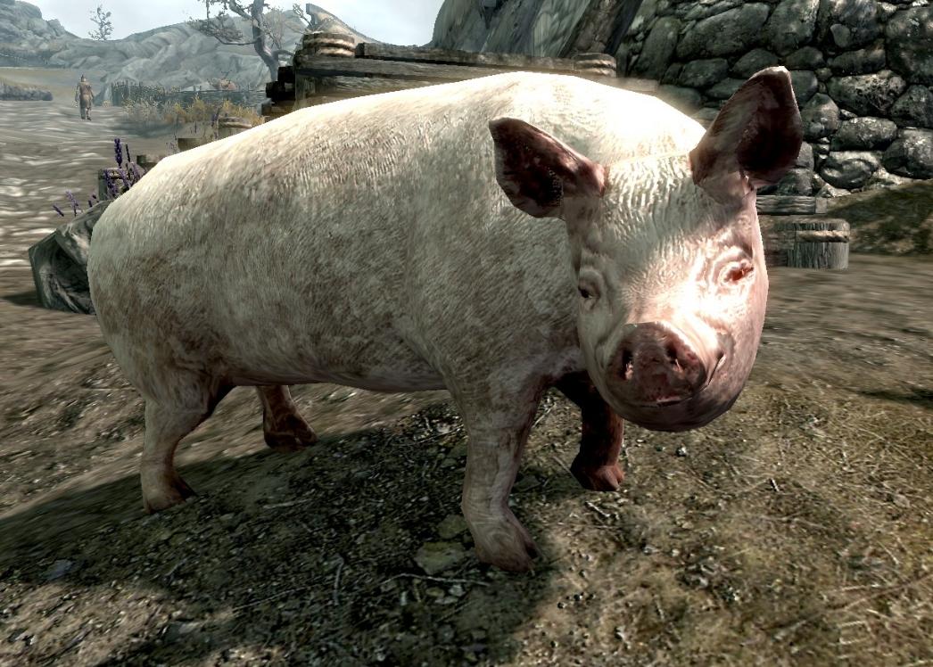 Strengt tatt er det ingen griser i Skyrim. Med mindre du installerer noen, da.Foto: Goosy Goosa +