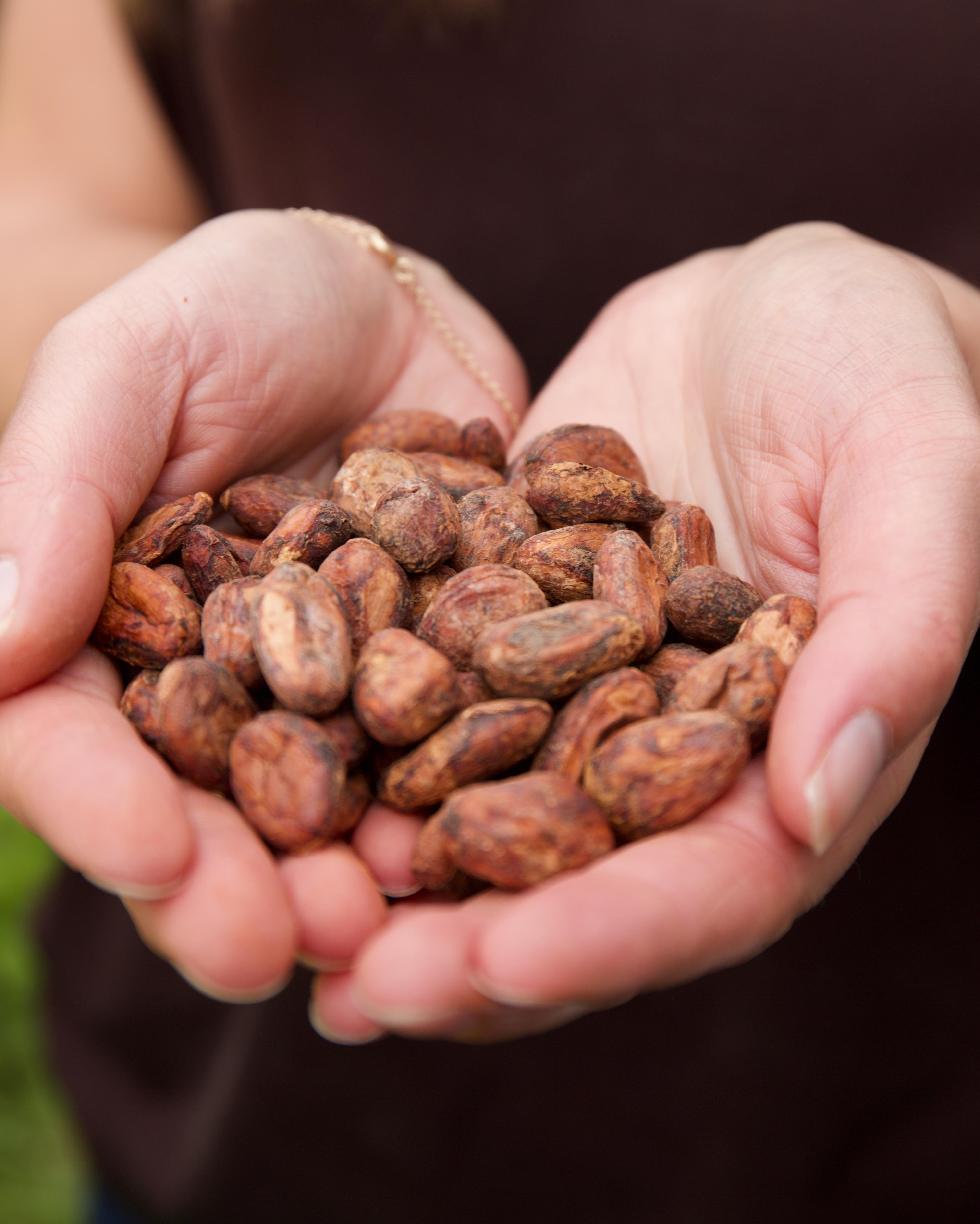 RÅVAREN: Kakaobønnenes jordsmonn, vær og klima har mye å si for det endelige produktet. 
