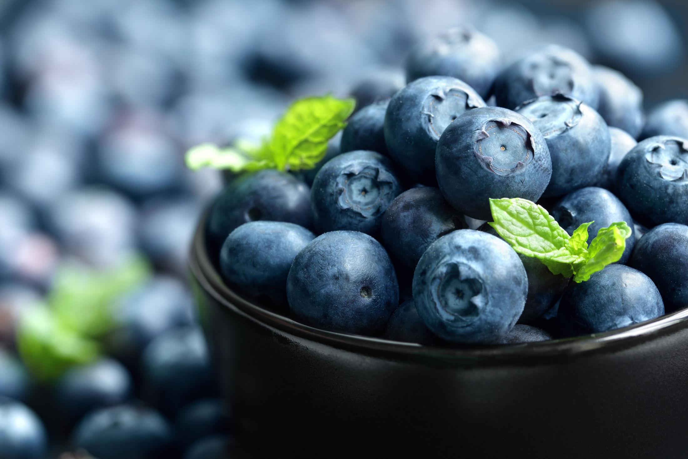 Supermat full av antioksidanter – men først og frem knallgode, så egentlig trenger vi ingen annen grunn til å spise masse blåbær. Foto: Brian Jackson/NTB Scanpix.