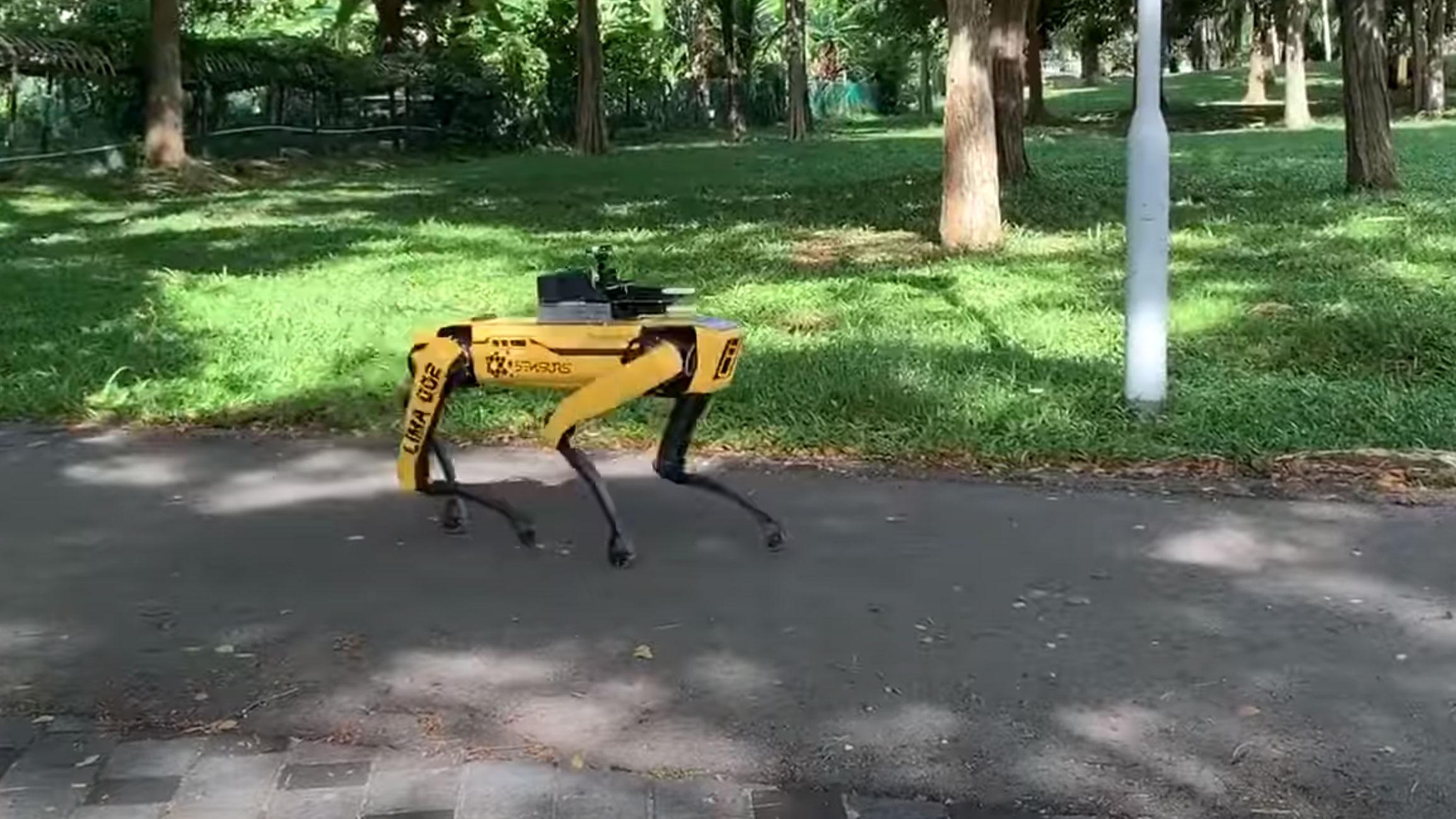 Singapore bruker robothunden Spot i kampen mot corona