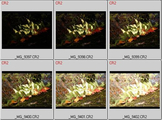 Eksempel på bildeserie tatt med tanke på HDR-generering. Disse seks bildene dekker til sammen så godt som hele det dynamiske omfanget til scenen. Det kunne godt ha vært ett bilde til i hver ende av serien, men det er ikke nødvendig. (*.CR2 er råfiler fra Canon EOS 5D, her vist i programmet BreezeBrowser.)Eksponeringsinnstillingene var som følger: 1/500 s, 1/250 s, 1/125 s, 1/60 s, 1/30 s og 1/15 s ved ISO 400 og blender f. 8.