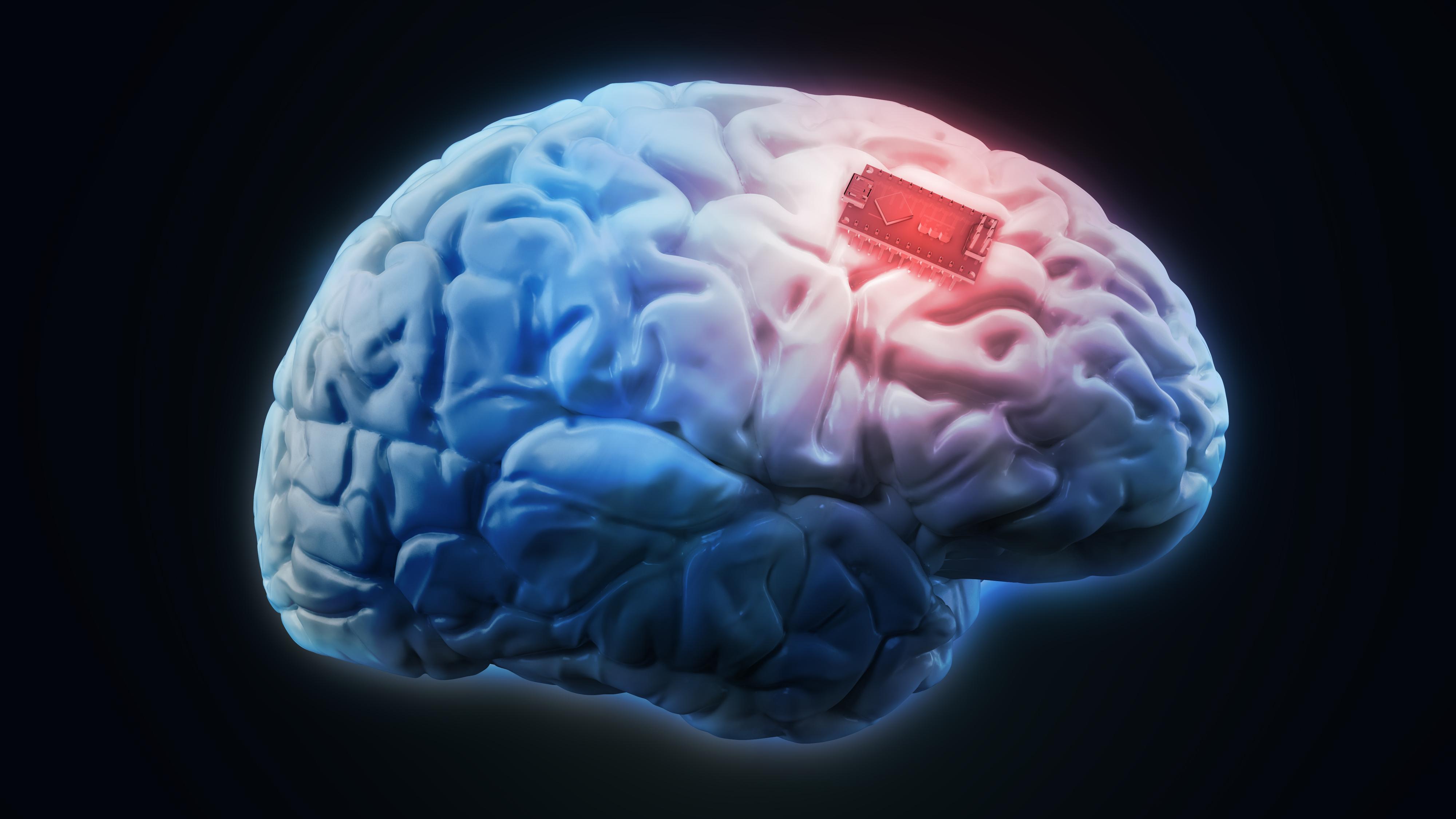 Nå finnes det en databrikke som kan «lage» nye minner i hjernen