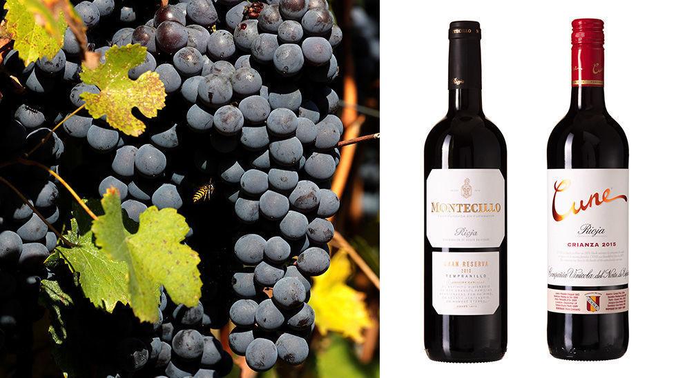 TOPPKARAKTERER: Edvard Skramstad gir hele tre viner terningkast 6 i denne ukens vintips om rødvin fra Rioja. Foto: REUTERS/Stefano Rellandini/Produsentene