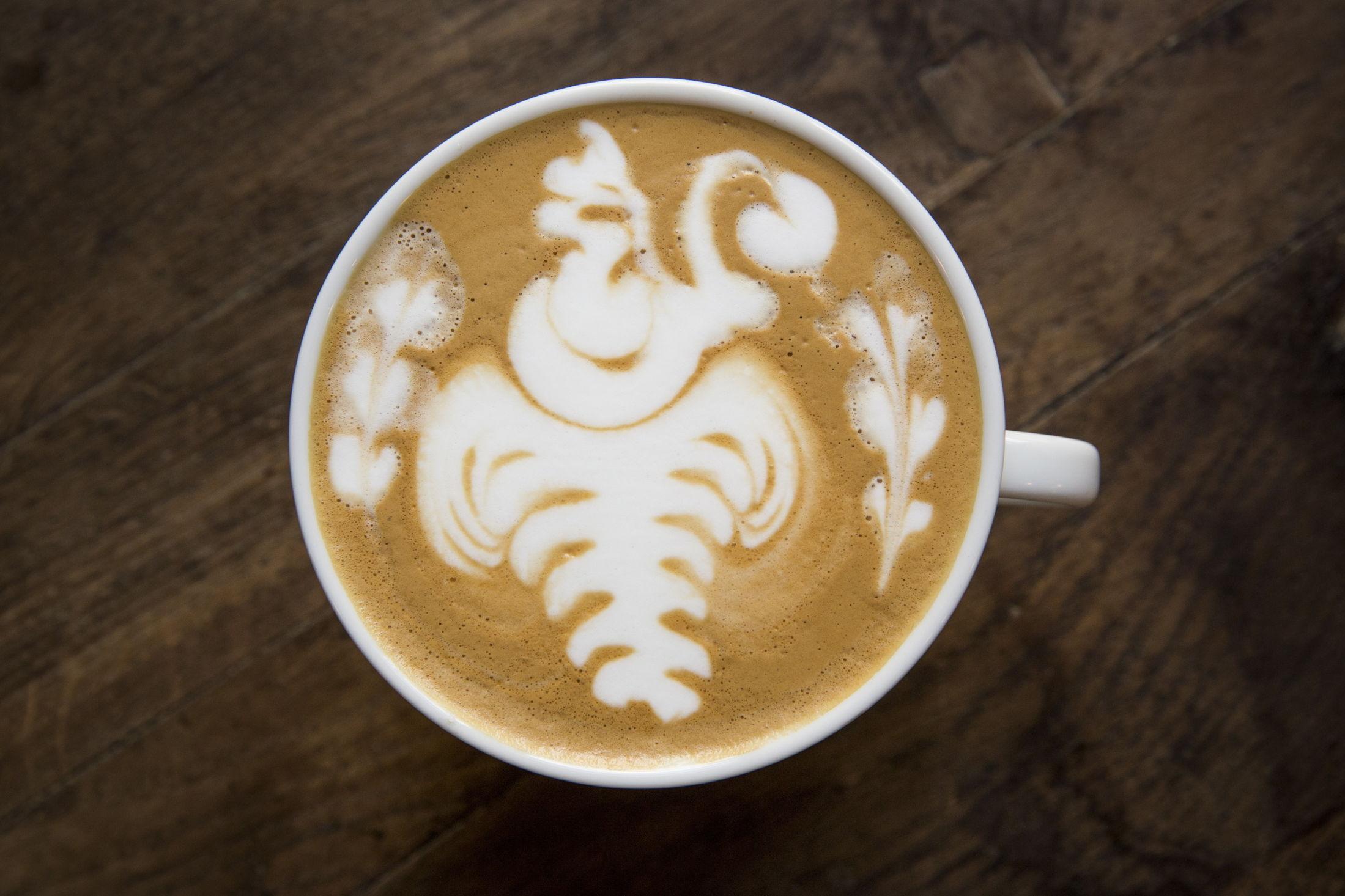 LATTEKUNST: Norgesmesteren i «latte art» øvde på dette svanemotivet i 2 uker før konkurransen. Foto: Annemor Larsen/VG