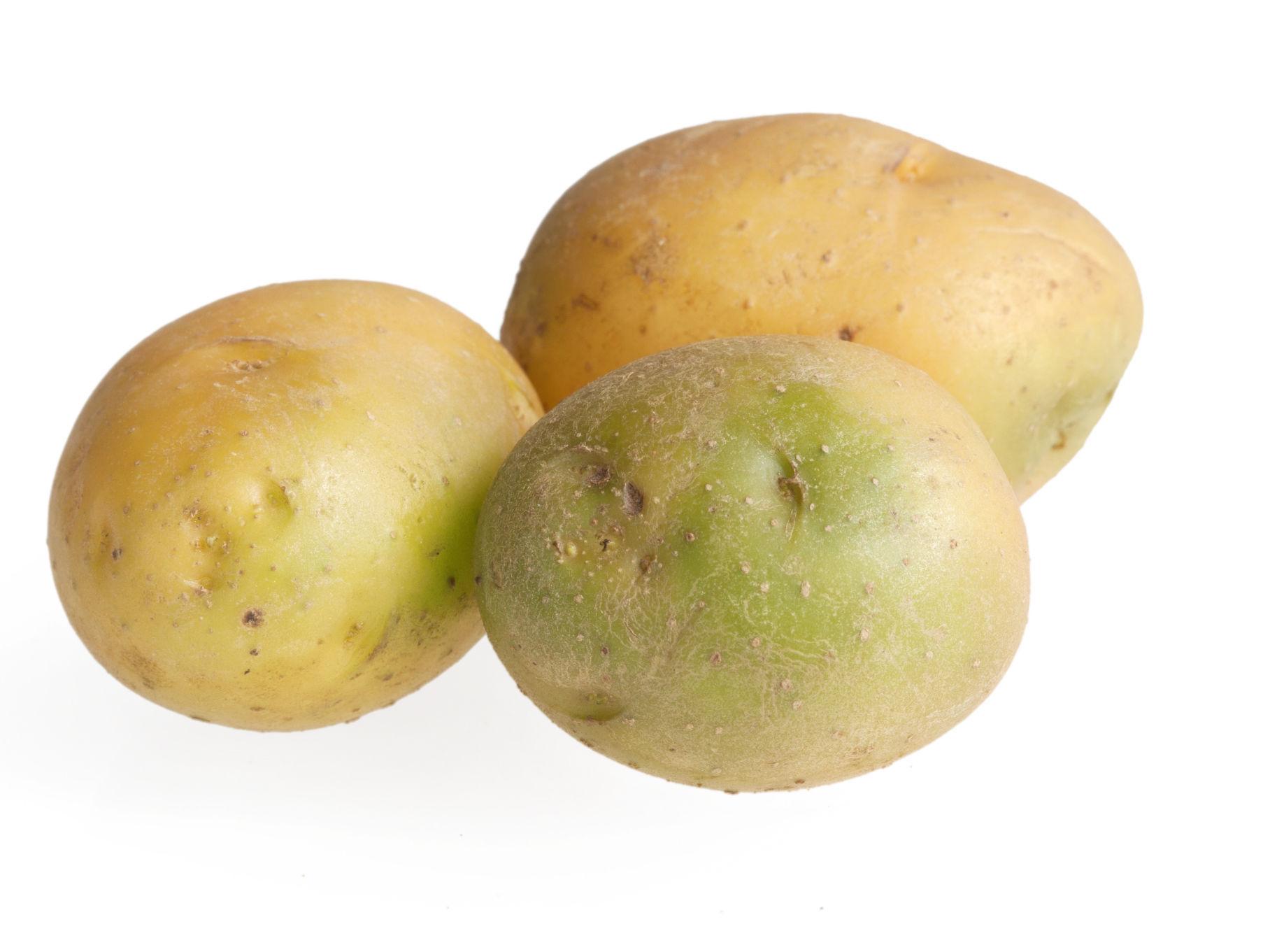 KAST: Grønne poteter som smaker bittert bør du kaste, ifølge potetforsker Molteberg. Foto: Shutterstock