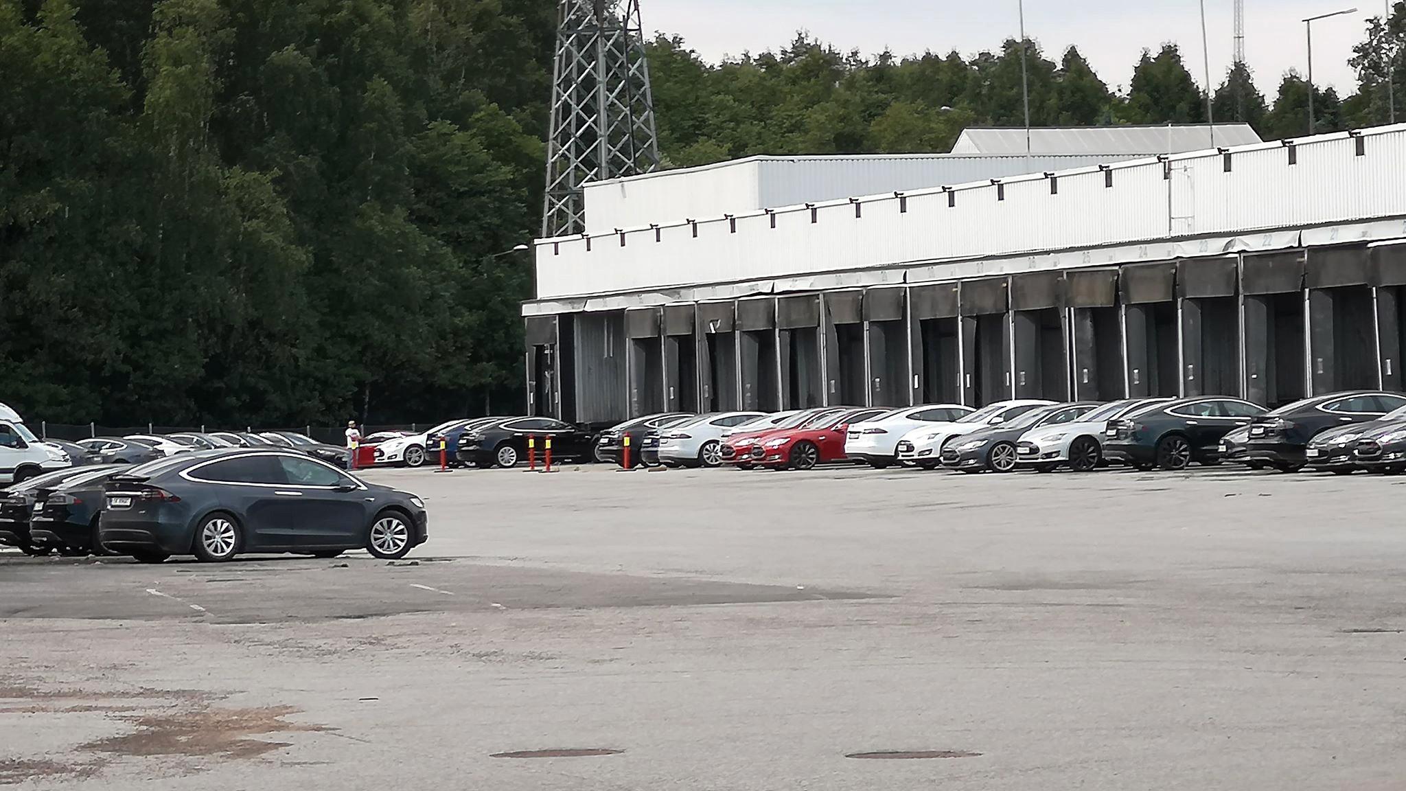På tomten til Teslas kommende verksted på Karihaugen står det mange titalls Teslaer og venter på ledig kapasitet hos verkstedene.